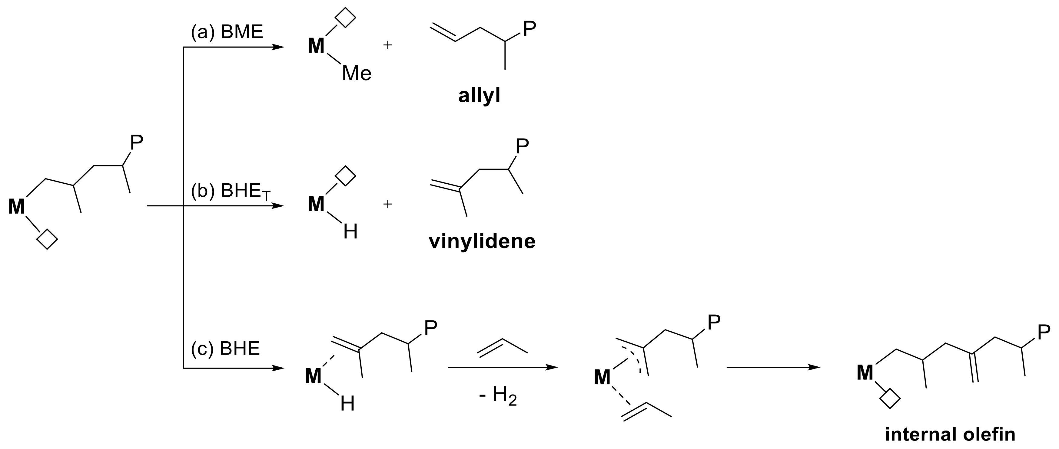 Polymers 13 02621 sch001