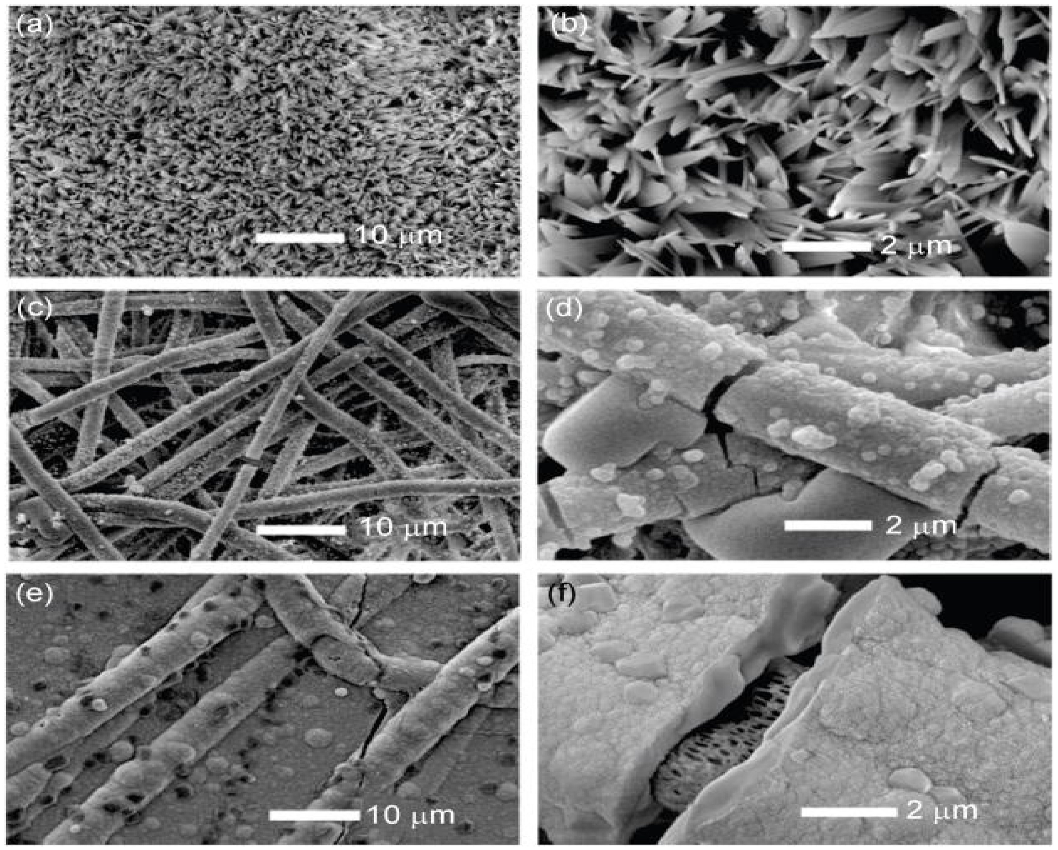Polymers 13 02623 g002 Polymers 13 02623 g002