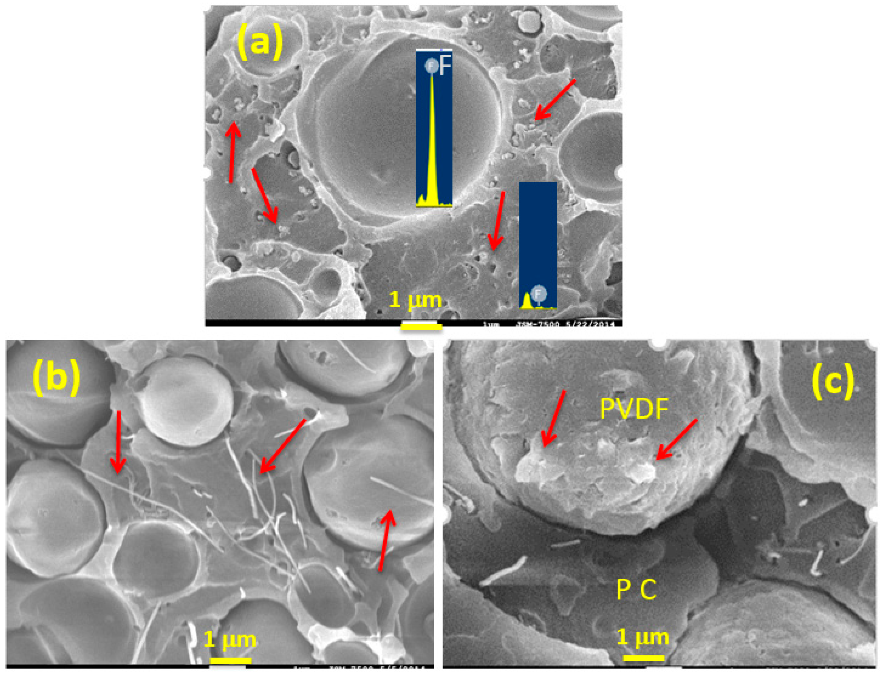 Polymers 13 02626 g002