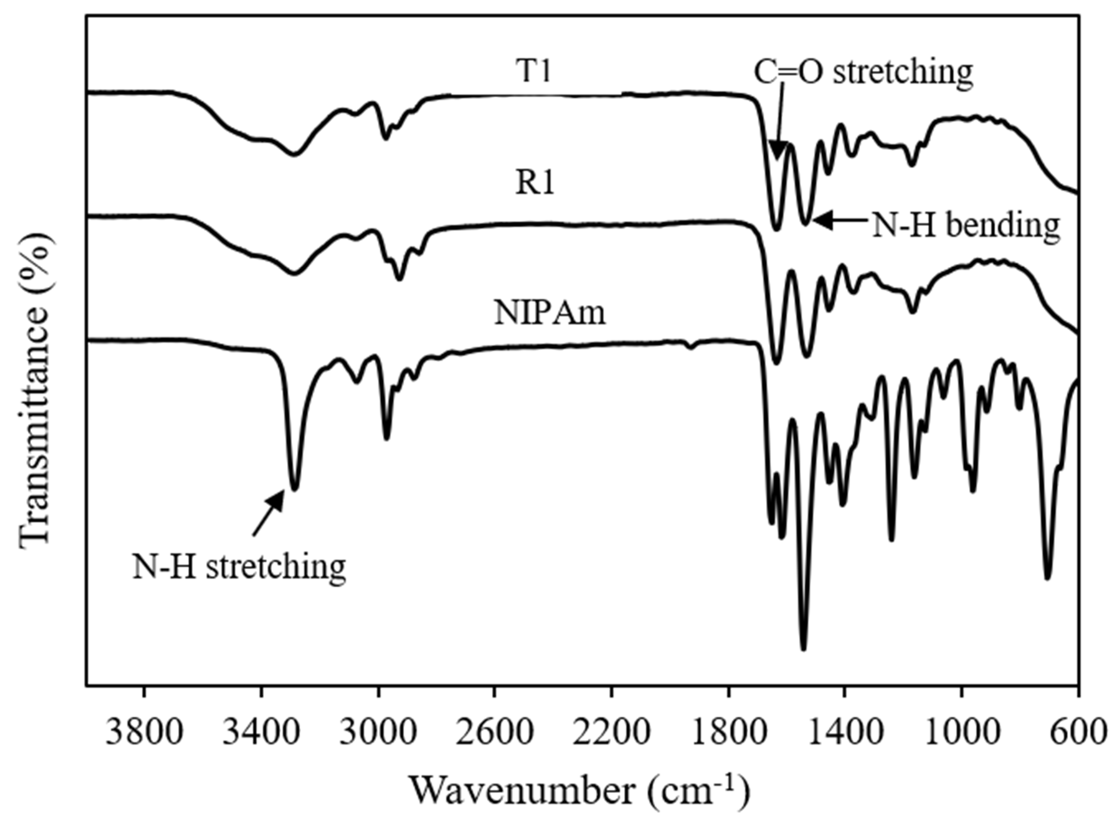 Polymers 13 02629 g001
