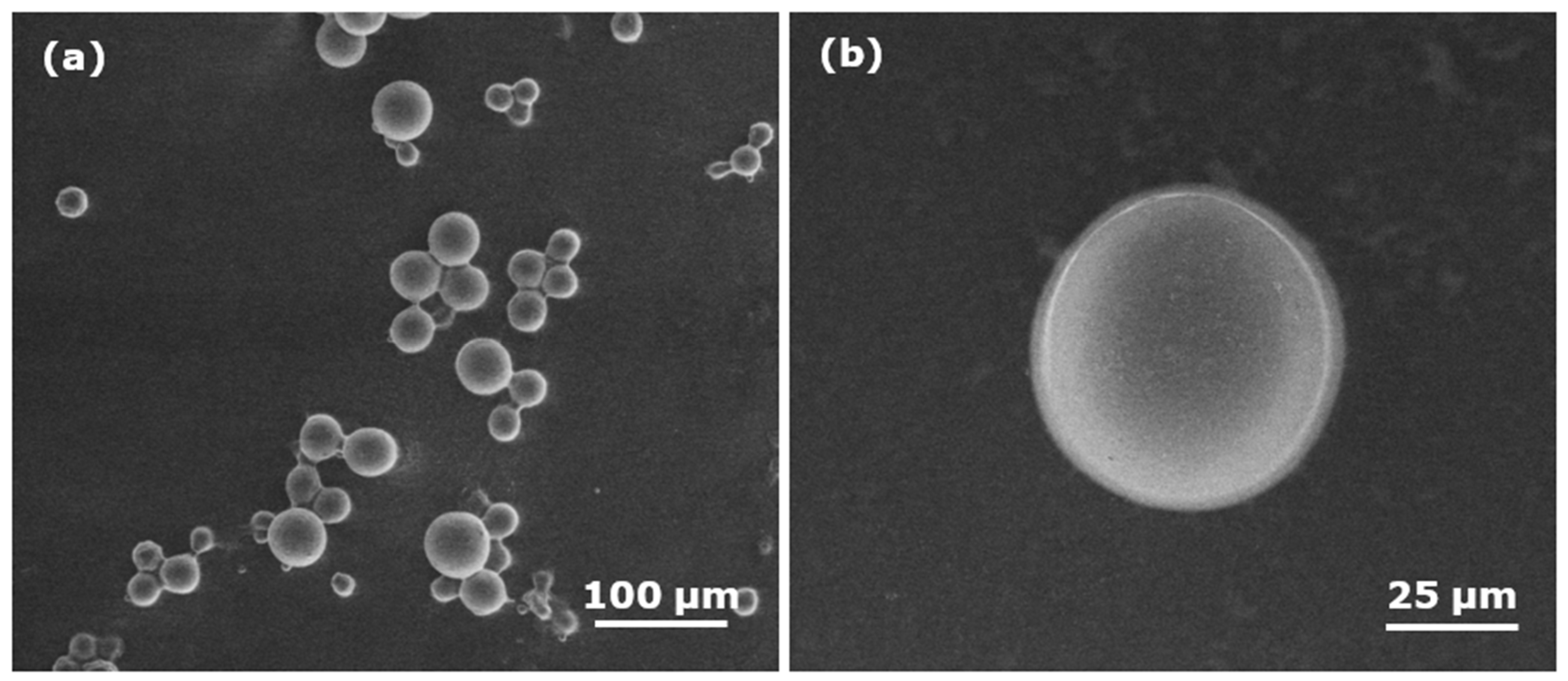 Polymers 13 02629 g002