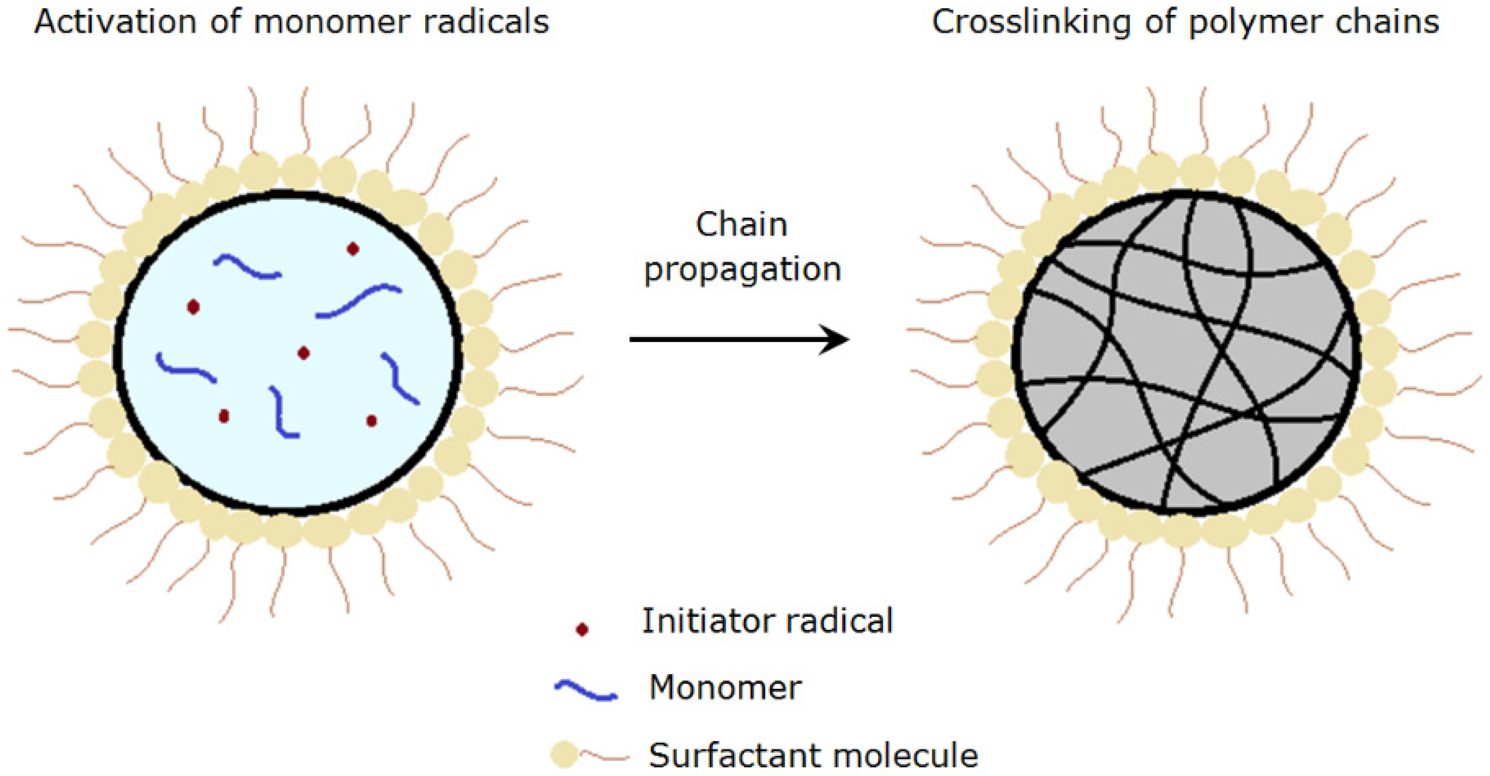 Polymers 13 02629 g004