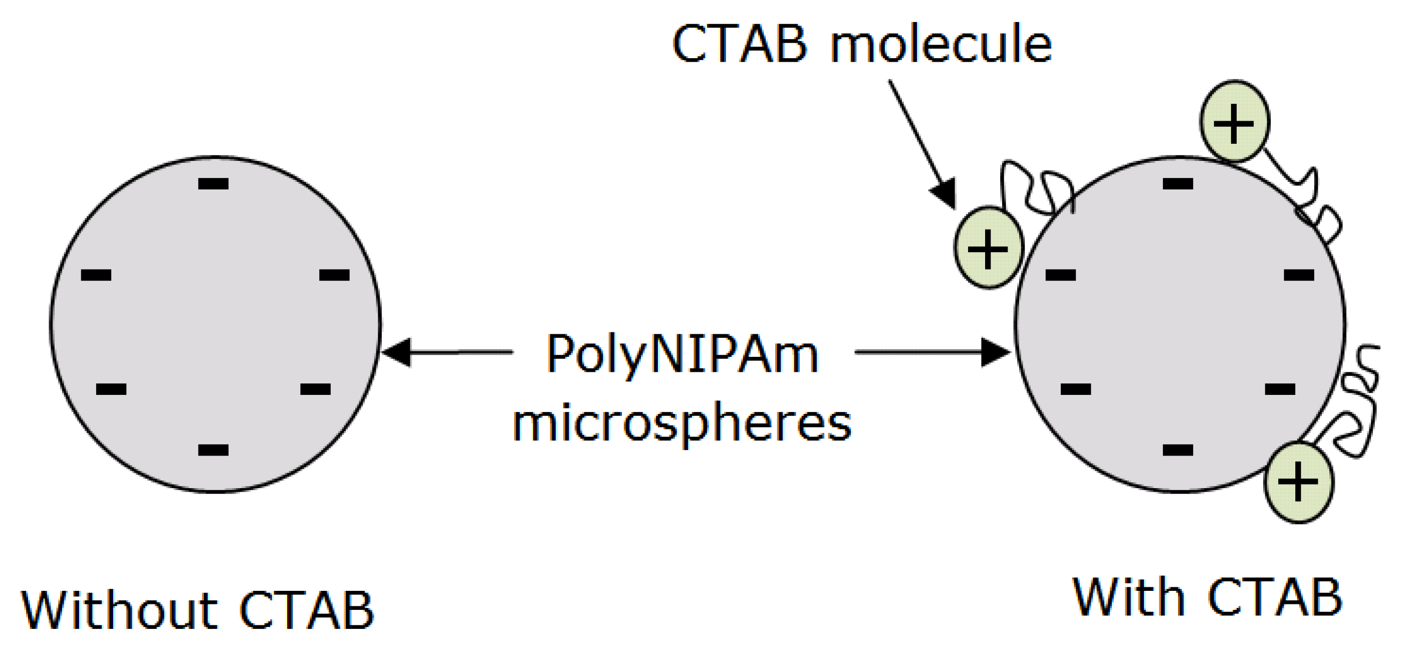 Polymers 13 02629 g013
