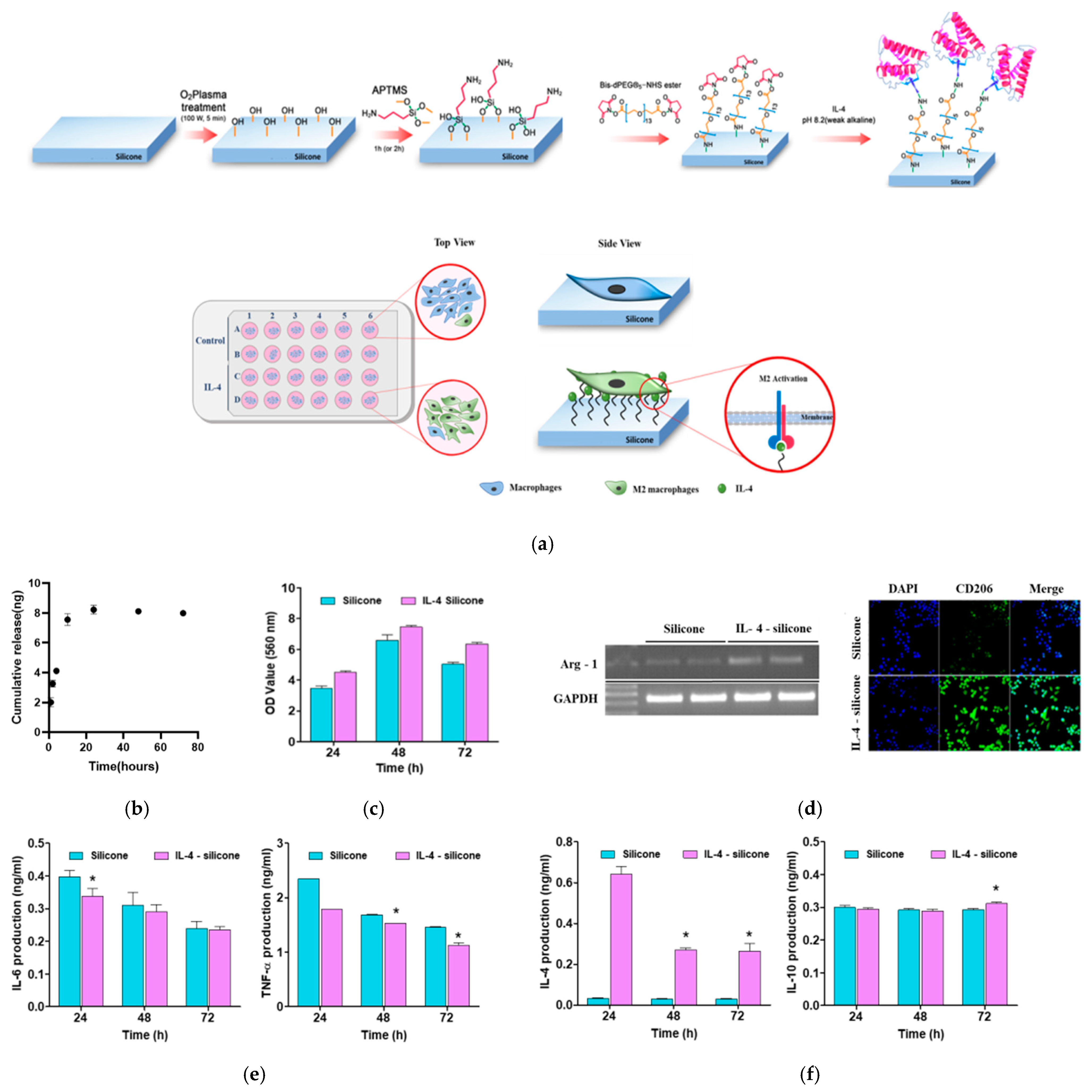 Polymers 13 02630 g003