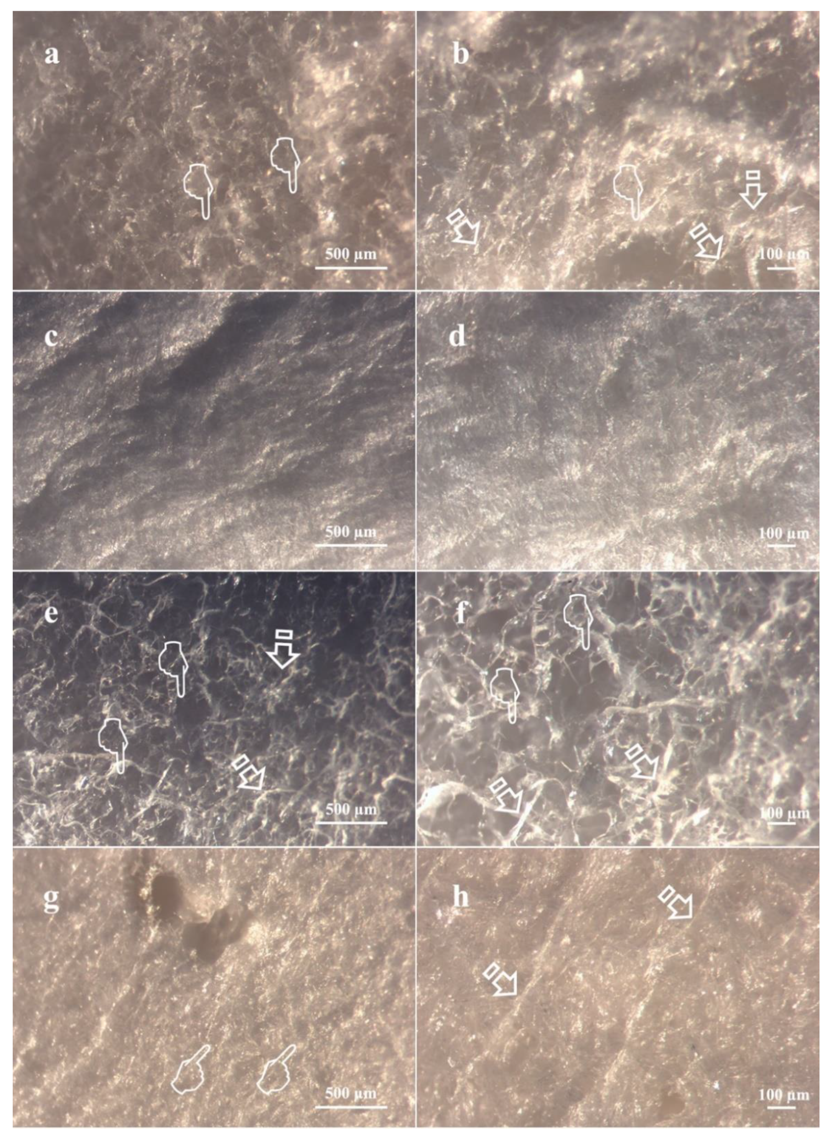 Polymers 13 02633 g003 550