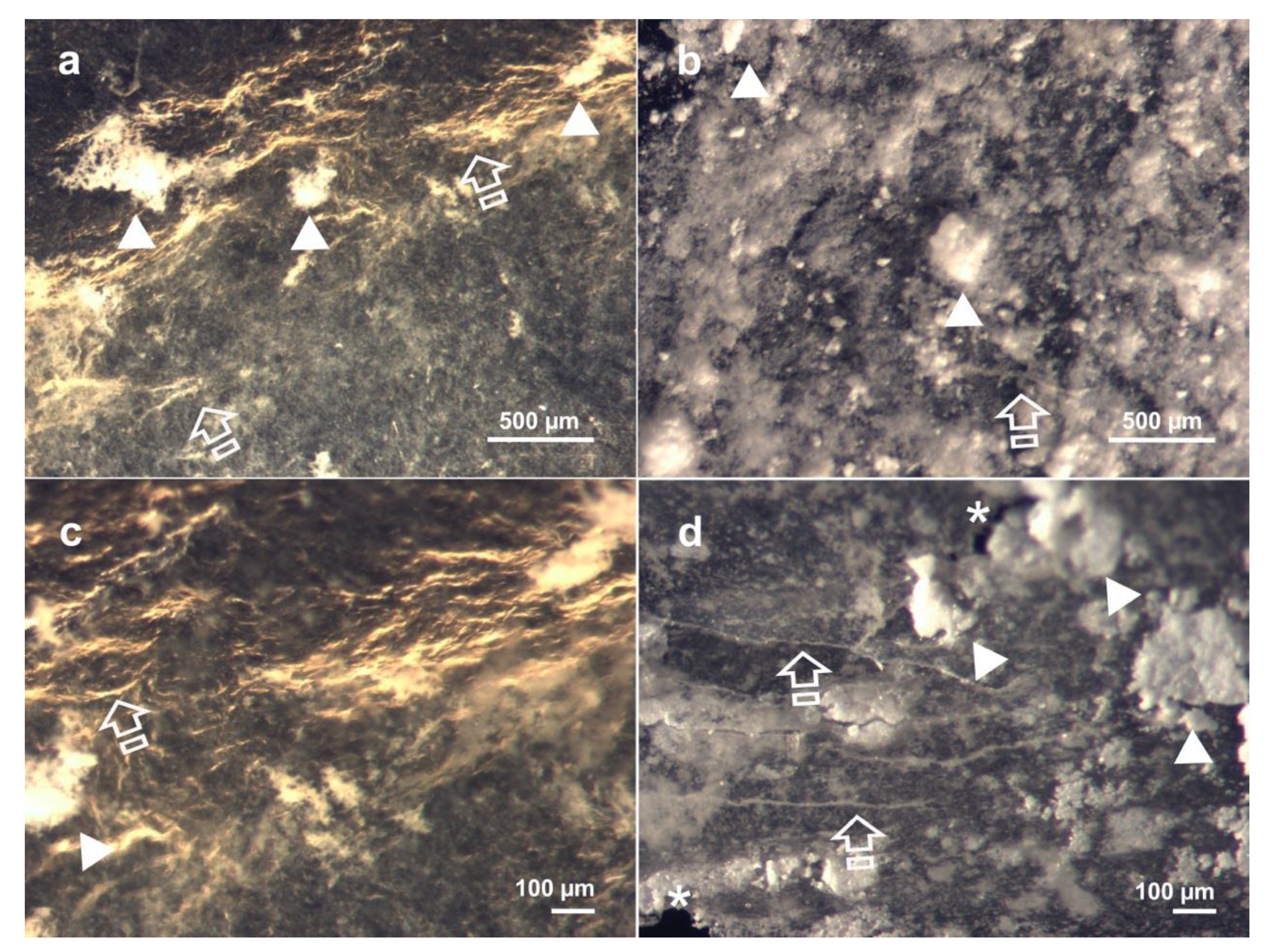 Polymers 13 02633 g004 550