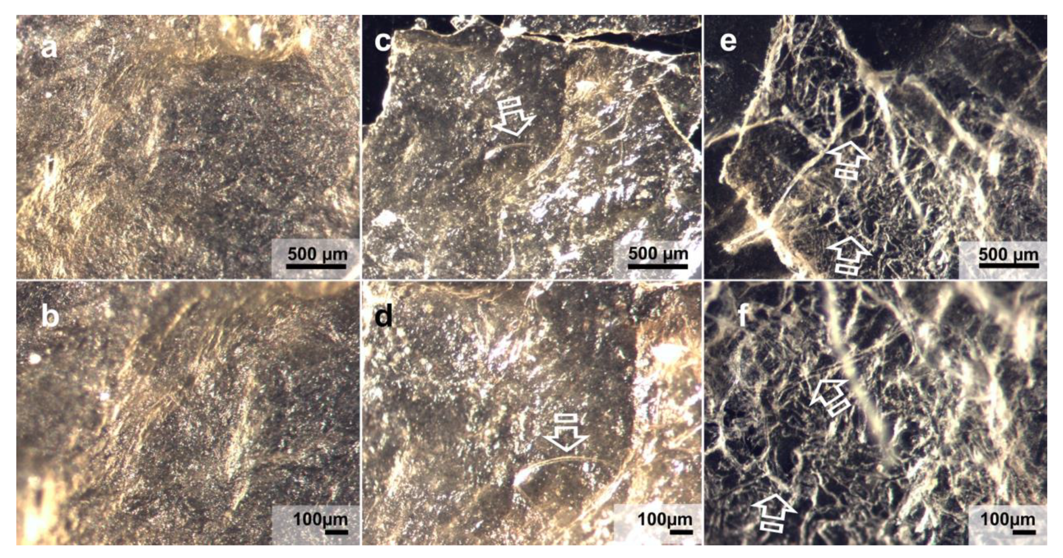 Polymers 13 02633 g005 550