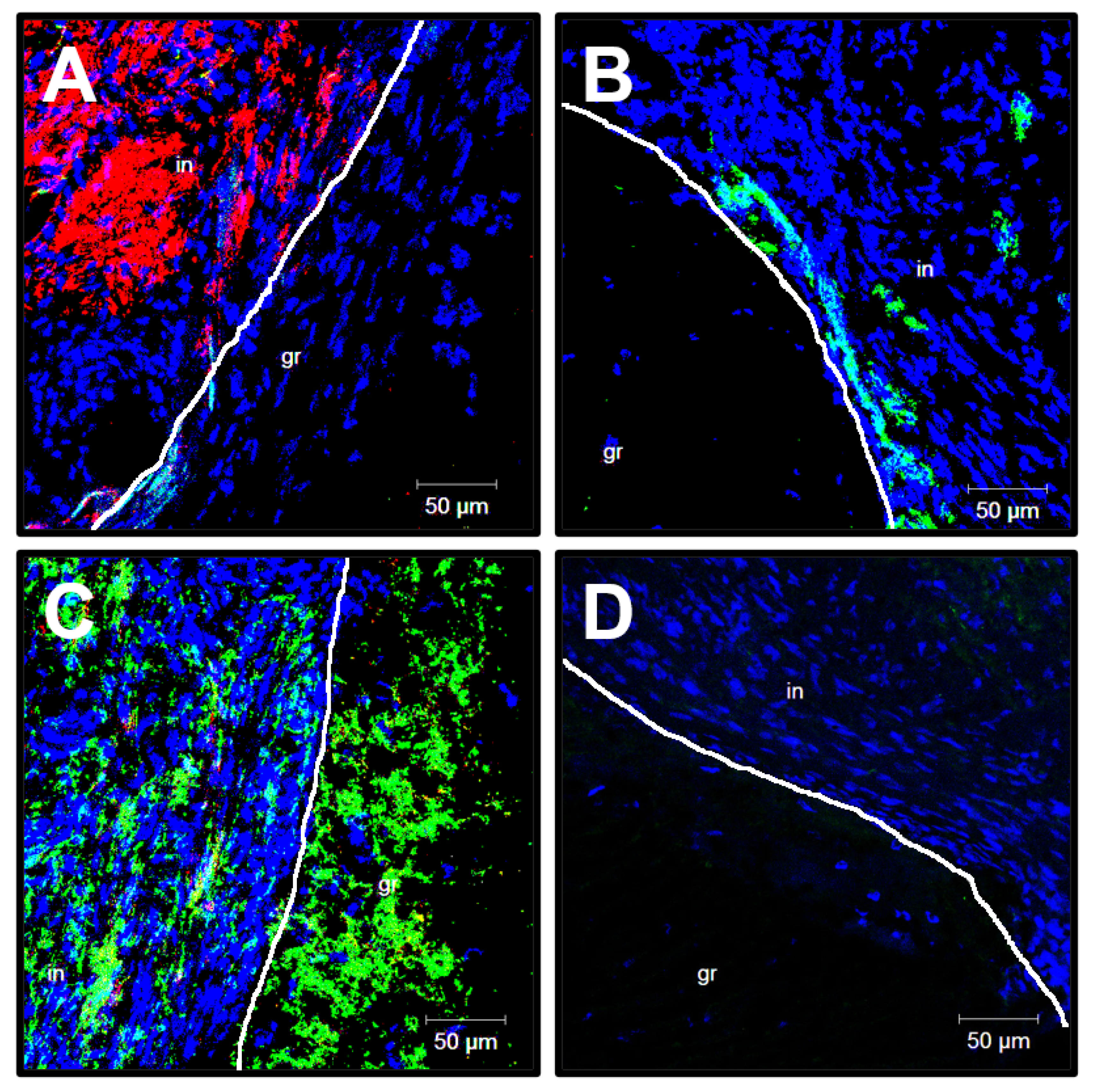 Polymers 13 02637 g009