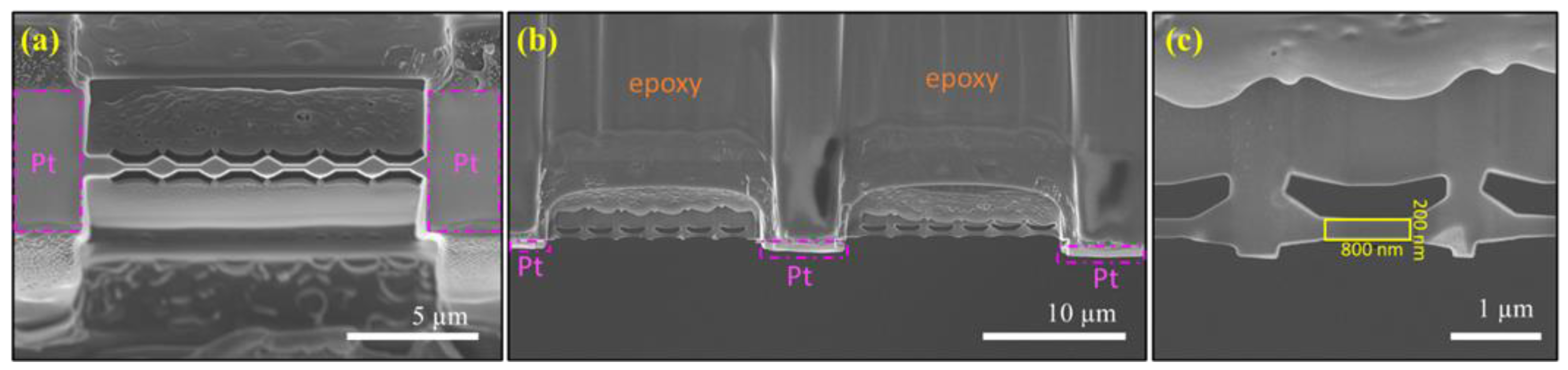 Polymers 13 02640 g001 550