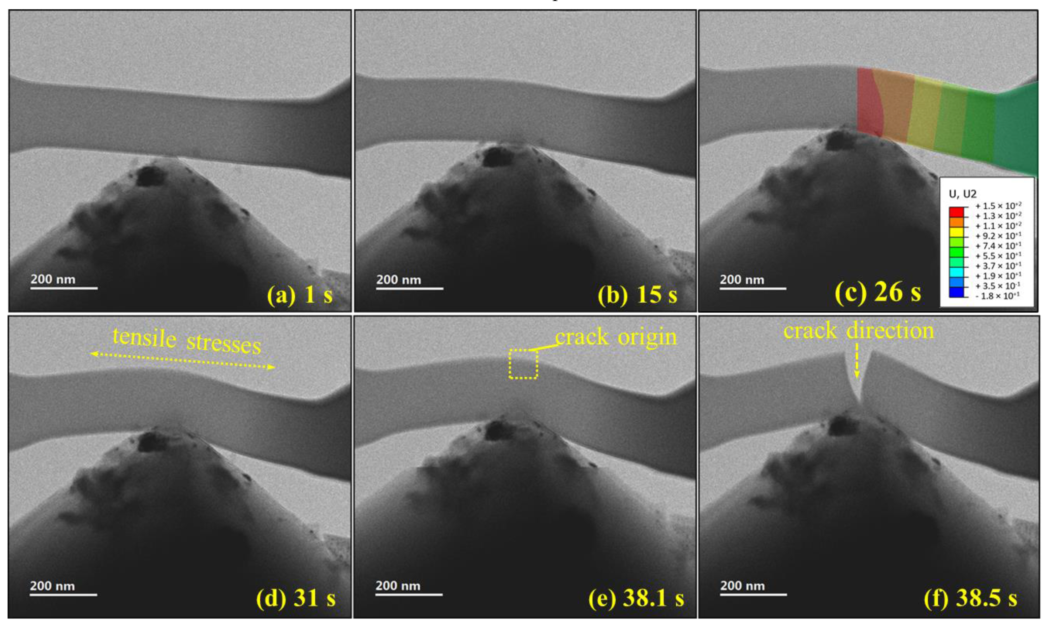 Polymers 13 02640 g005 550