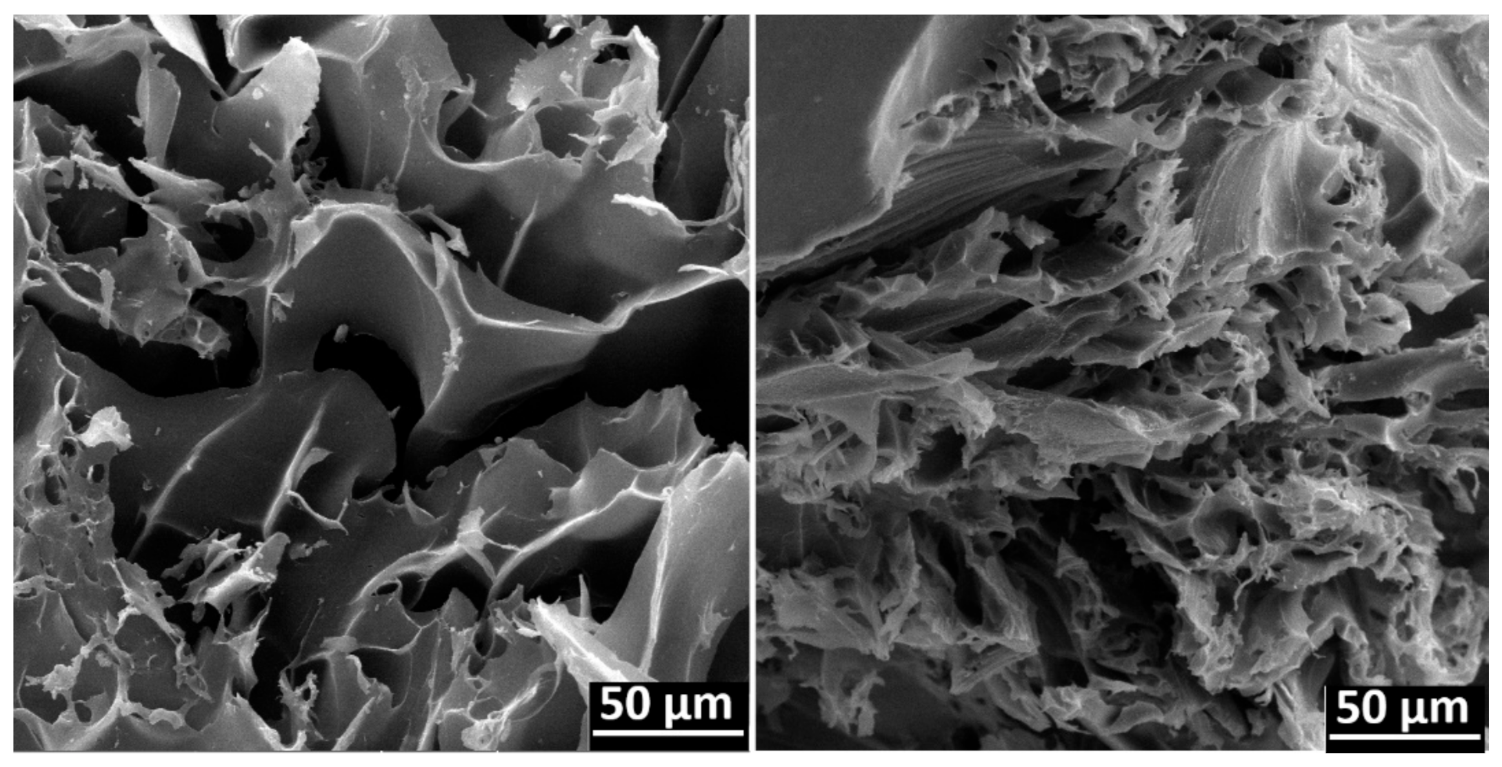 Polymers 13 02641 g007