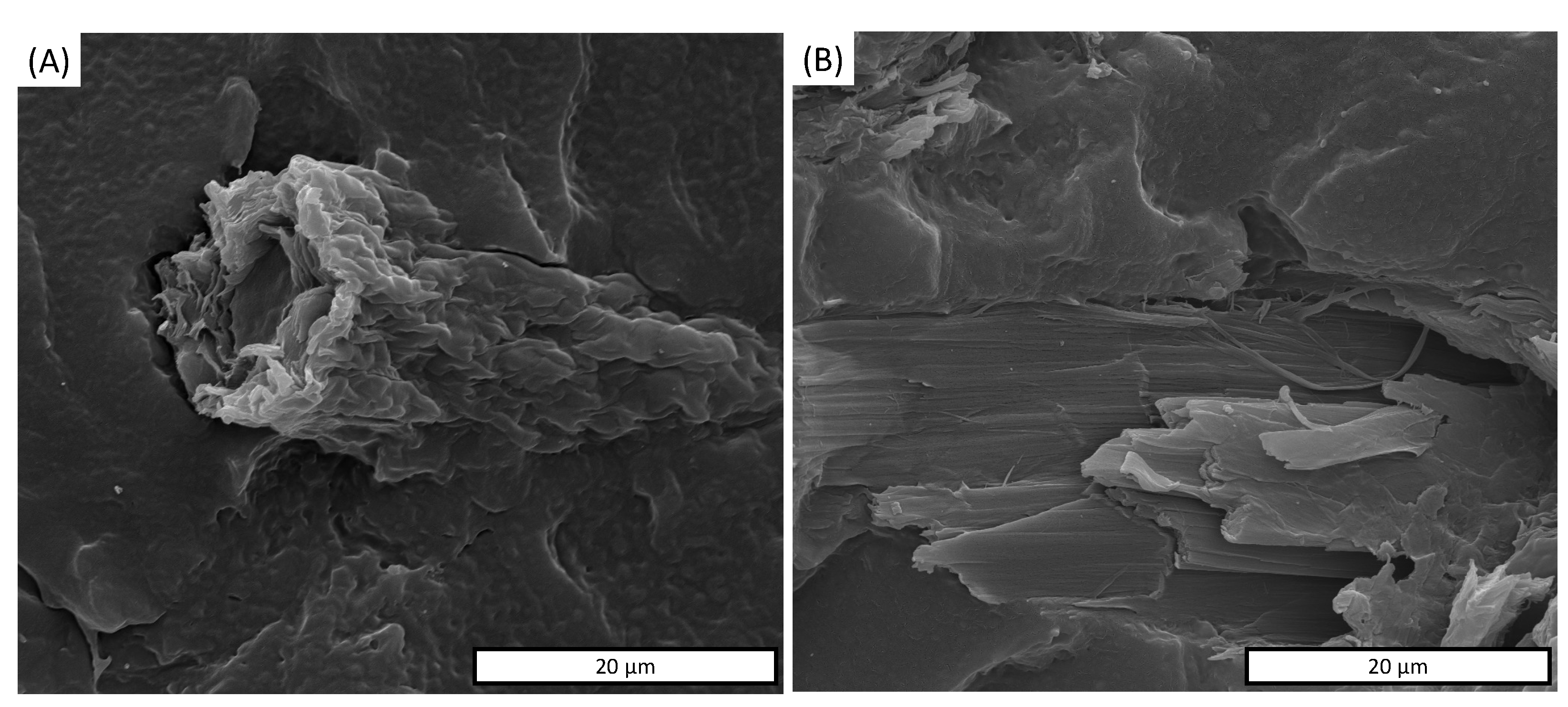 Polymers 13 02643 g006