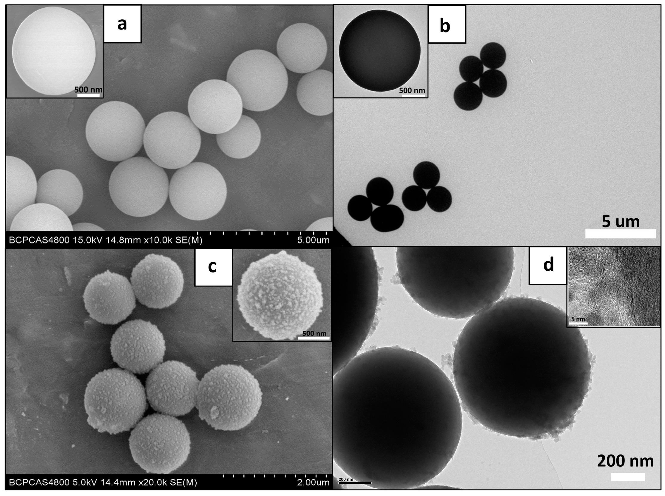 Polymers 13 02646 g003