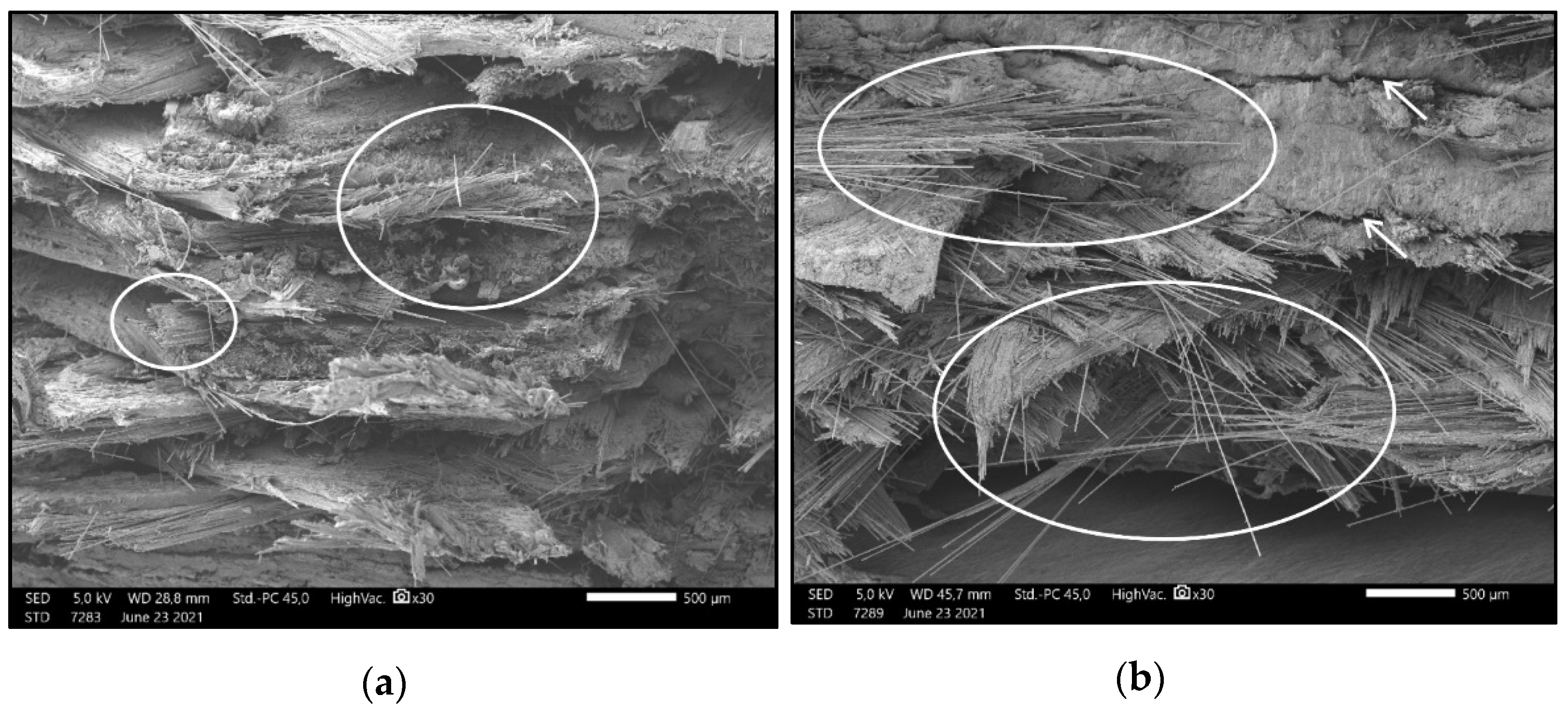Polymers 13 02647 g010
