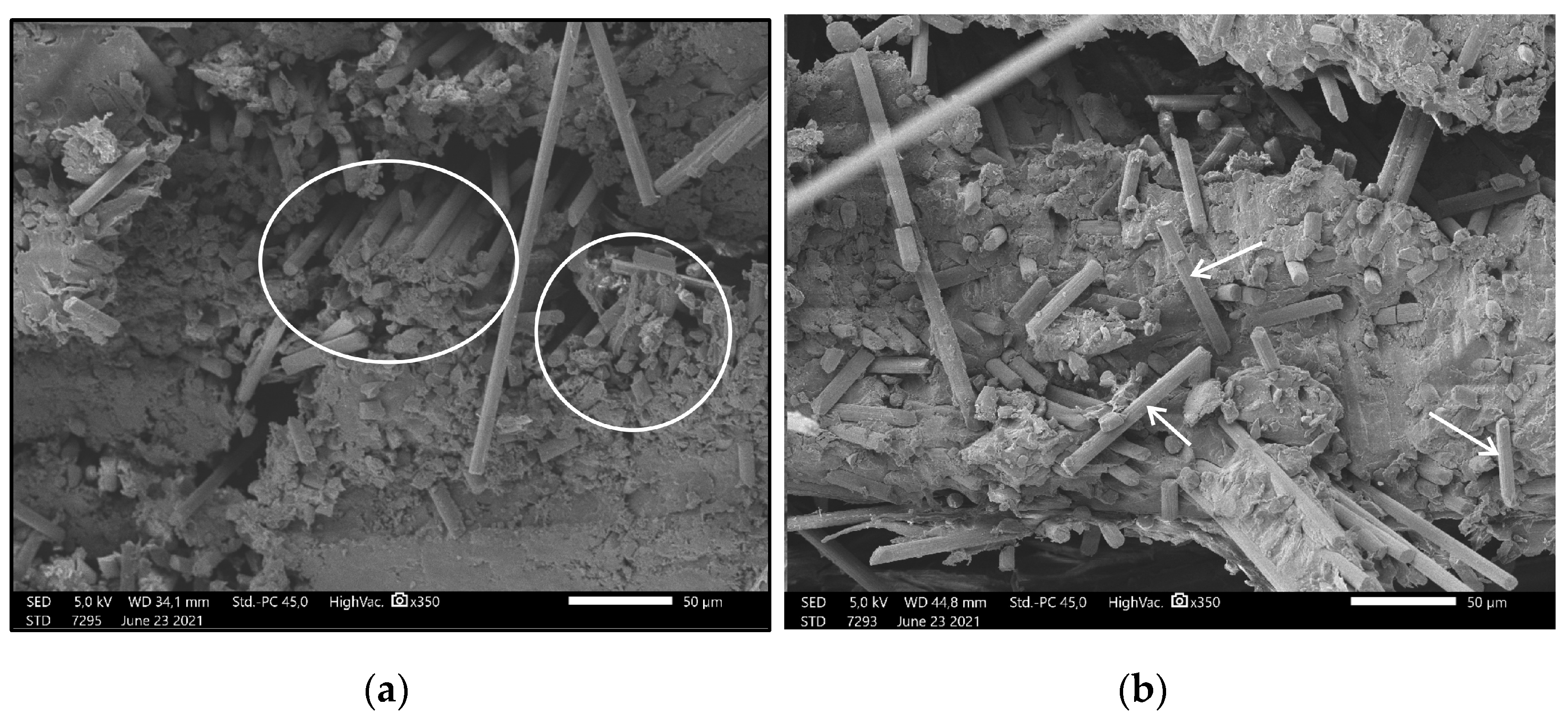 Polymers 13 02647 g011