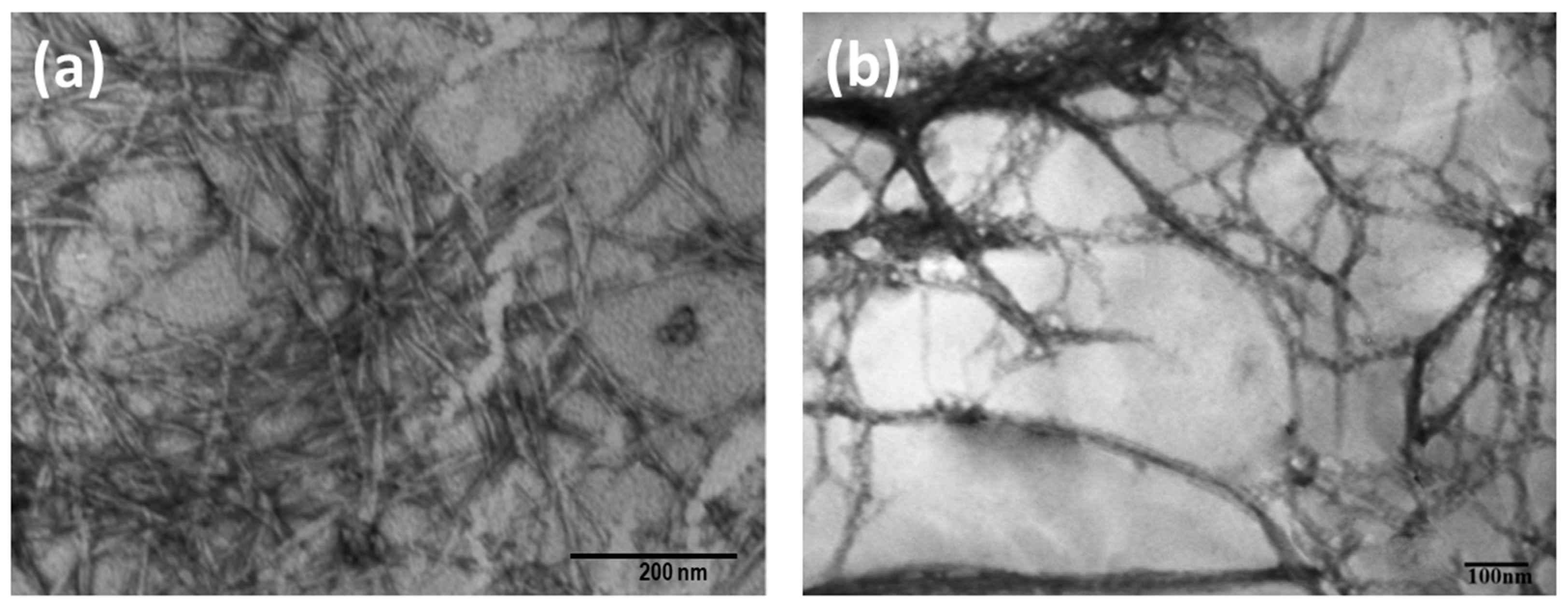 Polymers 13 02649 g002 550