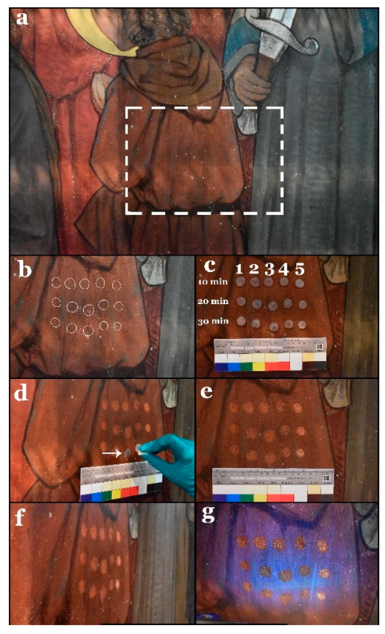 Polymers 13 02651 g005