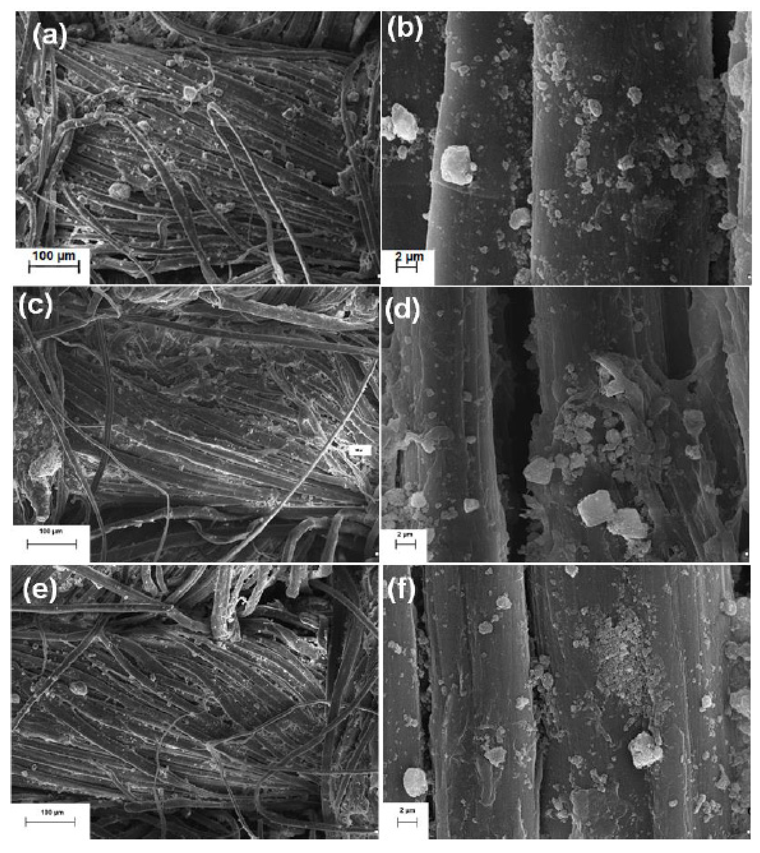 Polymers 13 02654 g006 550
