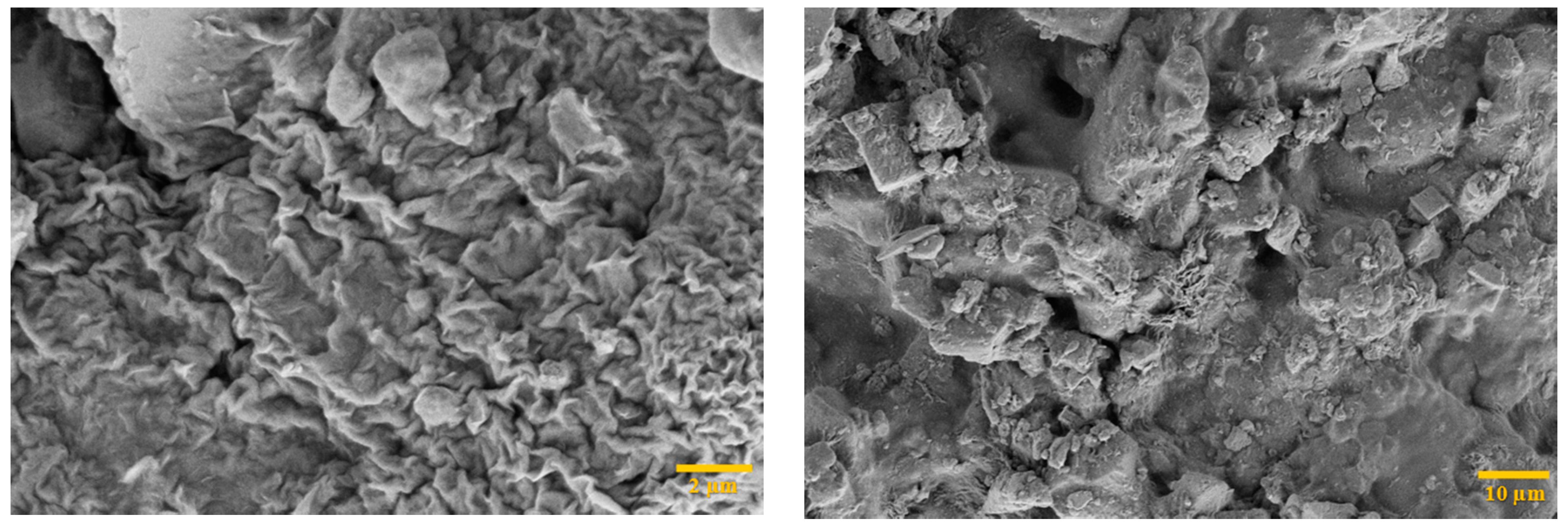 Polymers 13 02655 g009 Polymers 13 02655 g009
