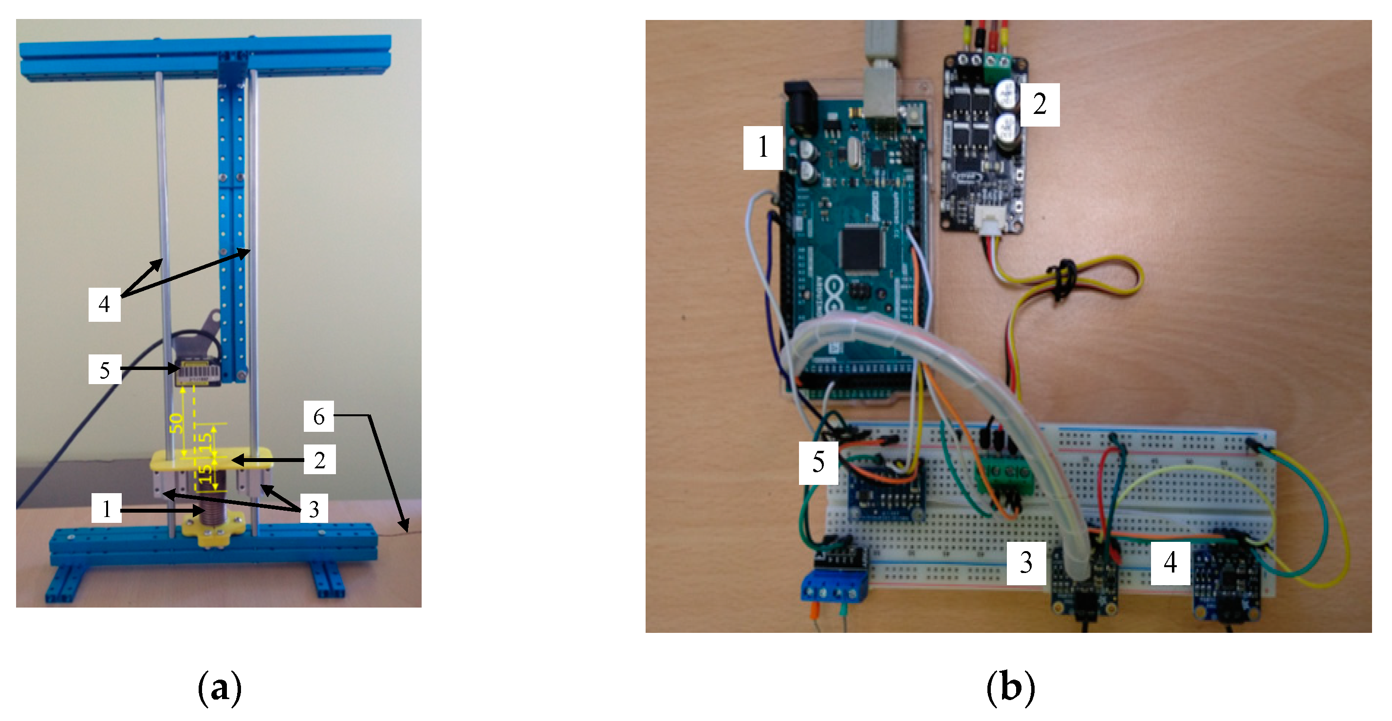 Polymers 13 02668 g003