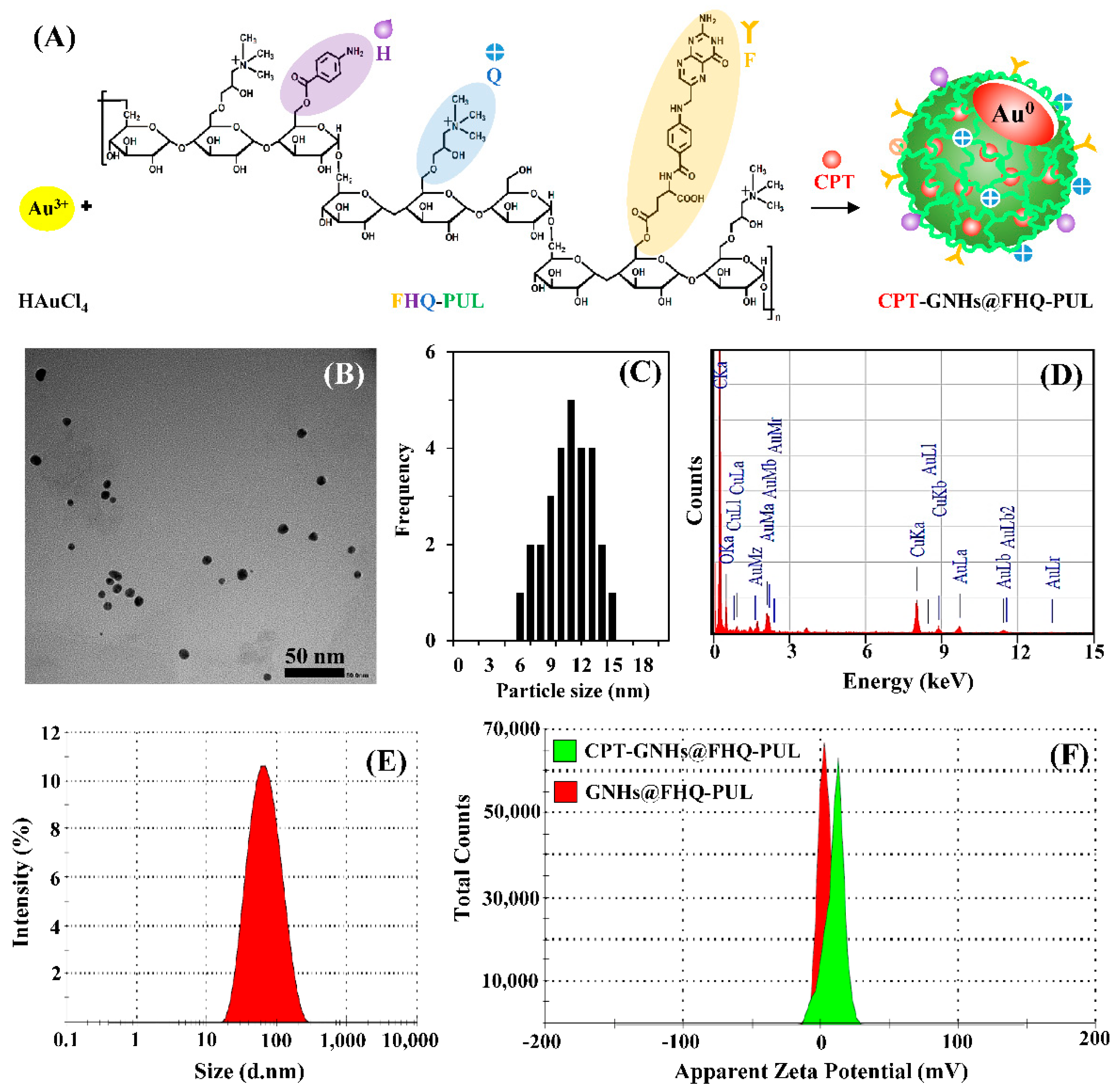 Polymers 13 02670 g002