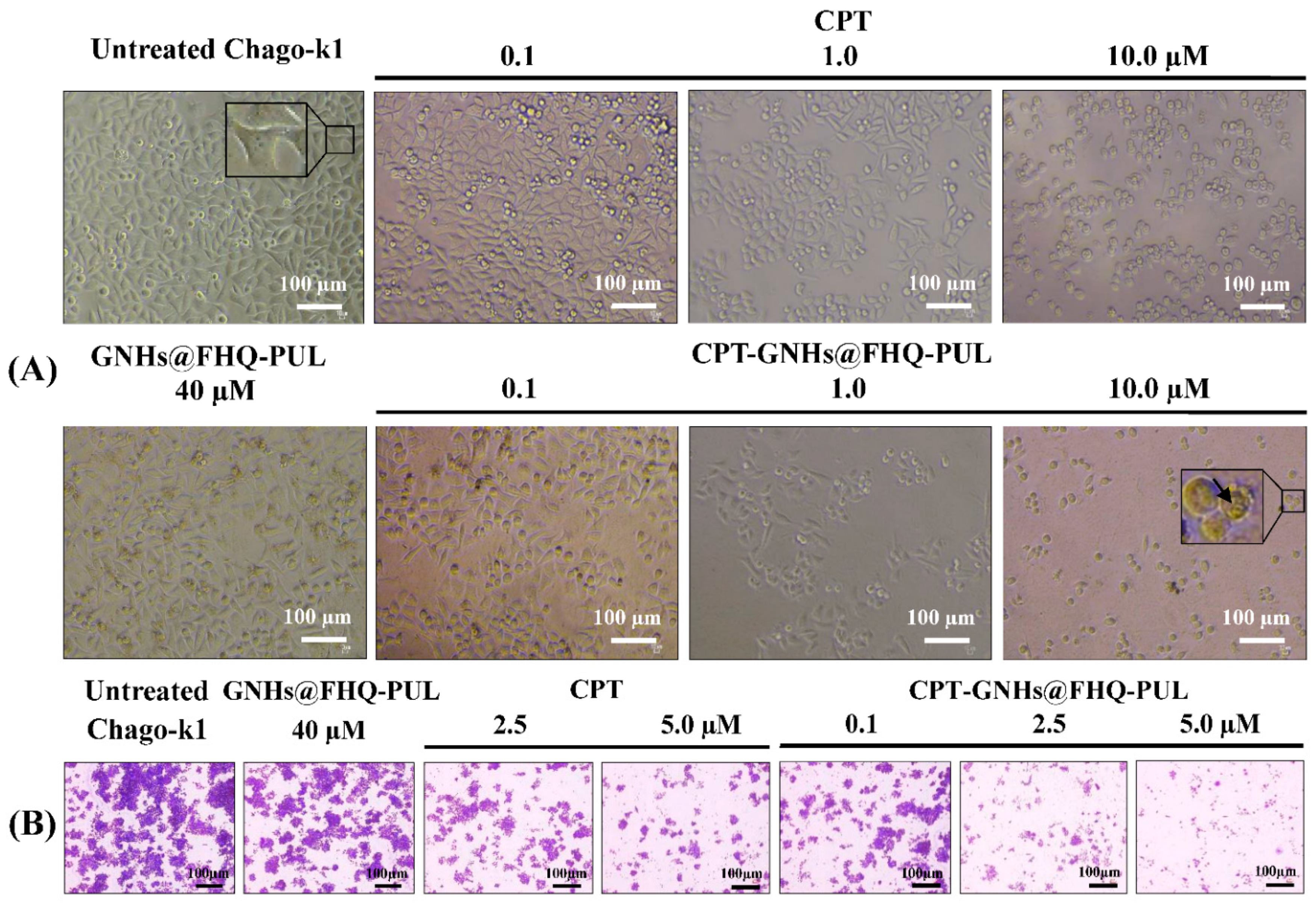 Polymers 13 02670 g005