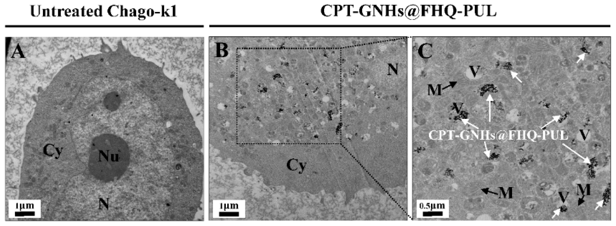 Polymers 13 02670 g006