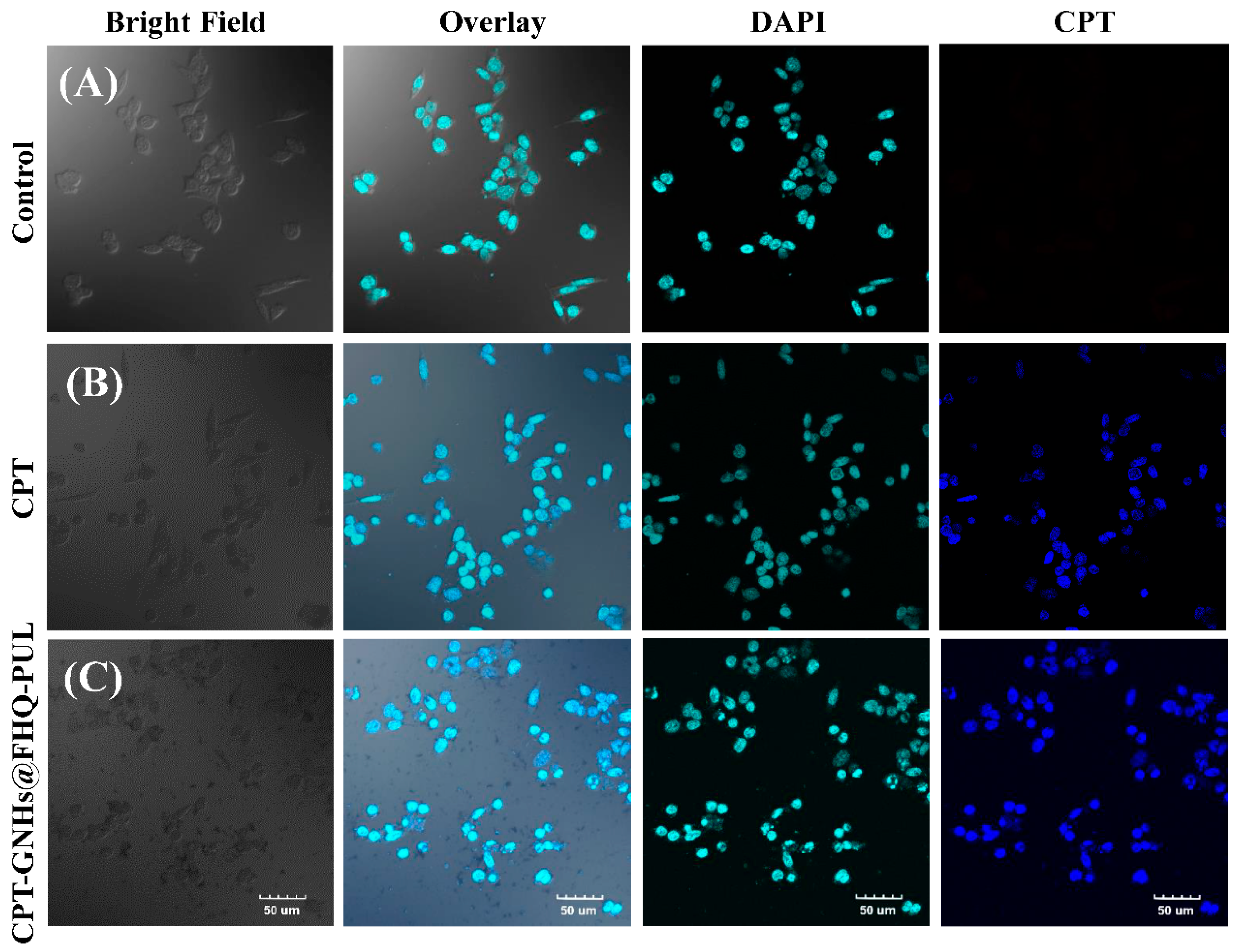 Polymers 13 02670 g007