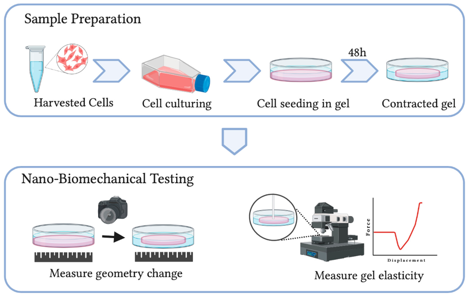 Polymers 13 02672 g004 Polymers 13 02672 g004