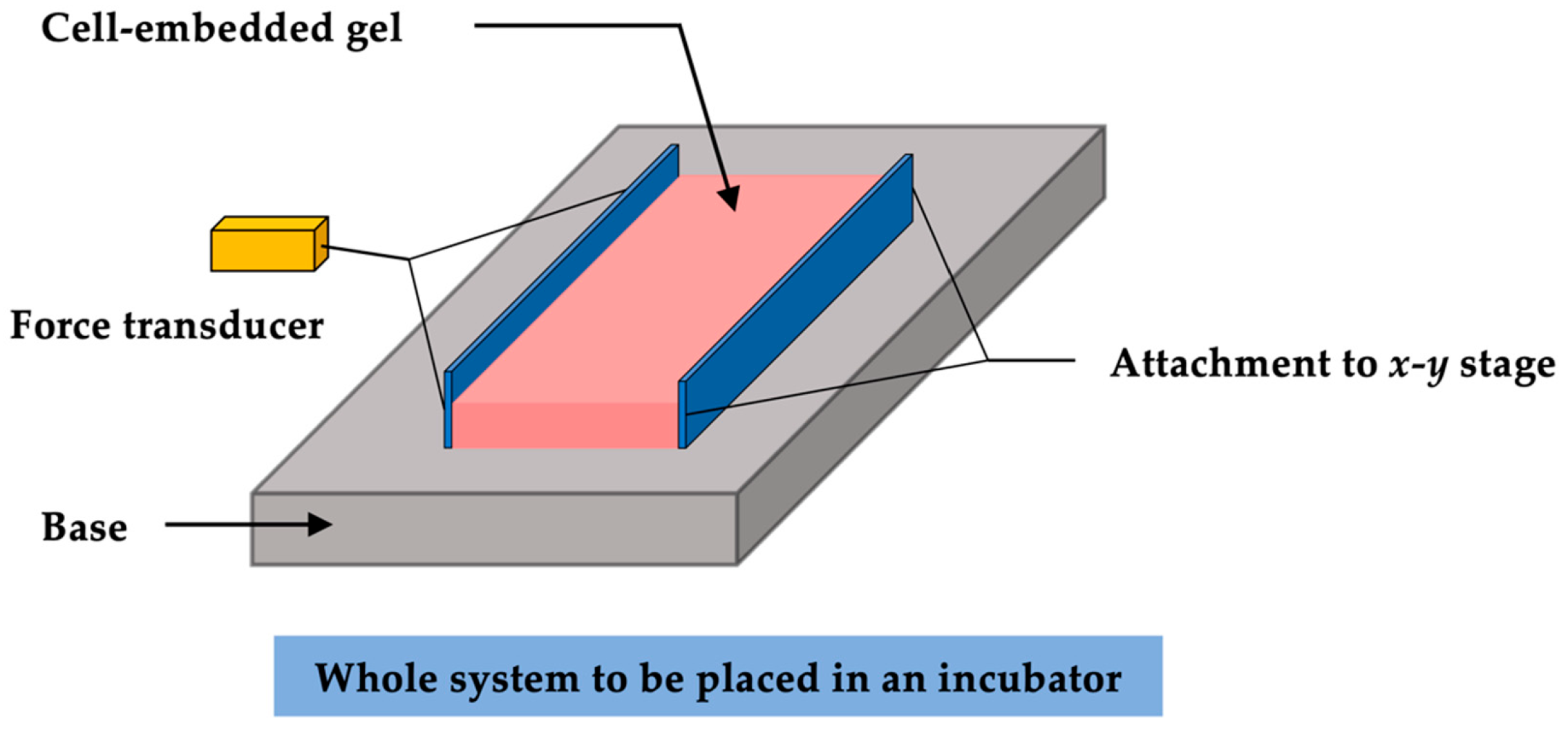 Polymers 13 02672 g005 Polymers 13 02672 g005