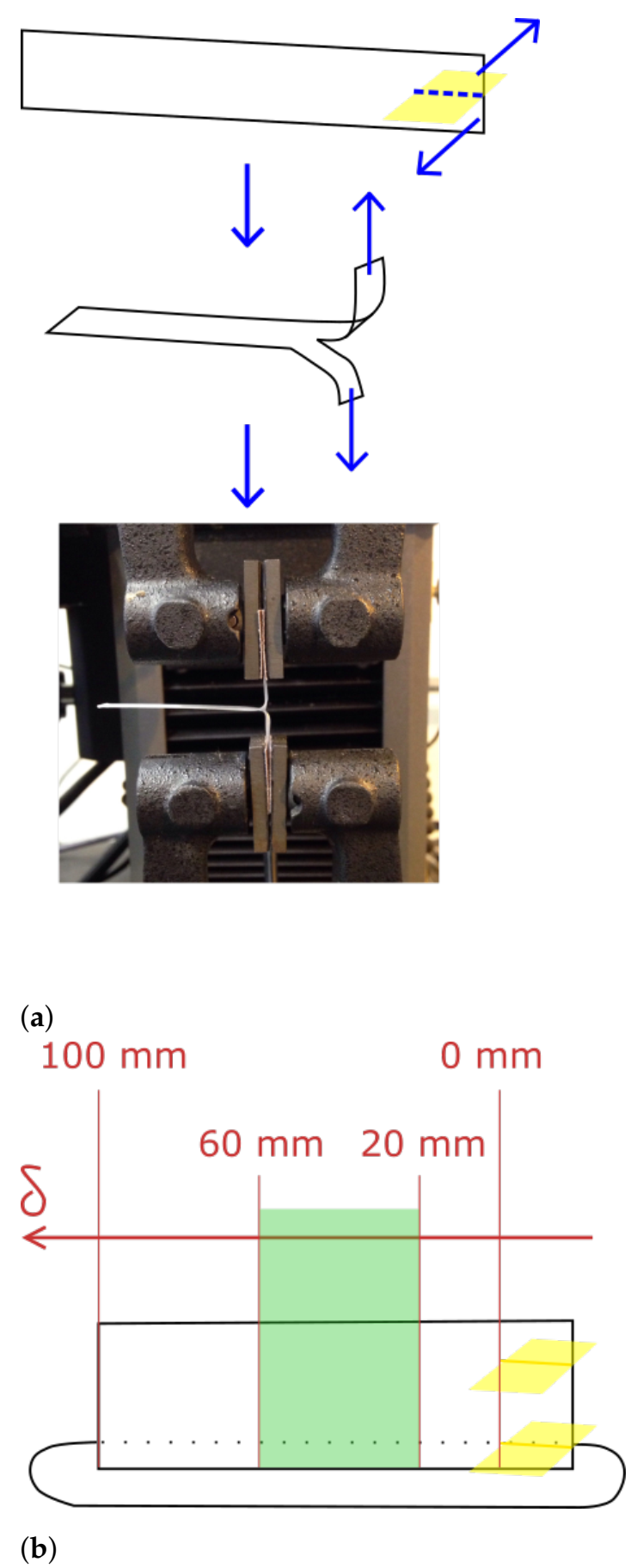 Polymers 13 02677 g002