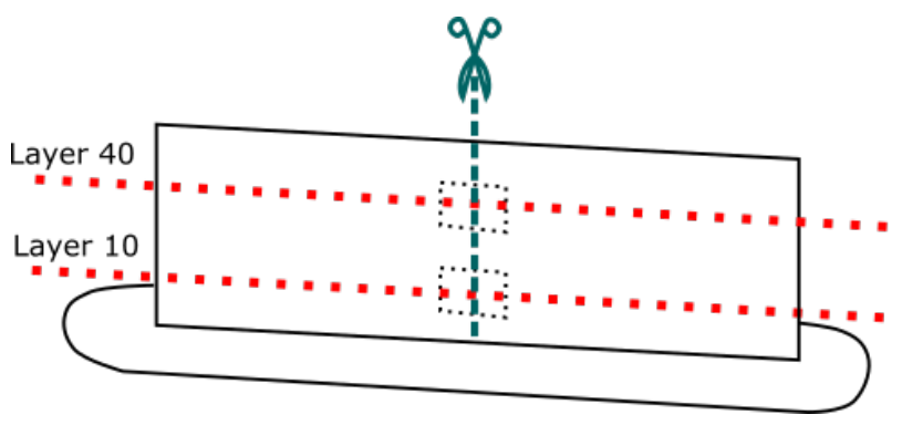 Polymers 13 02677 g003