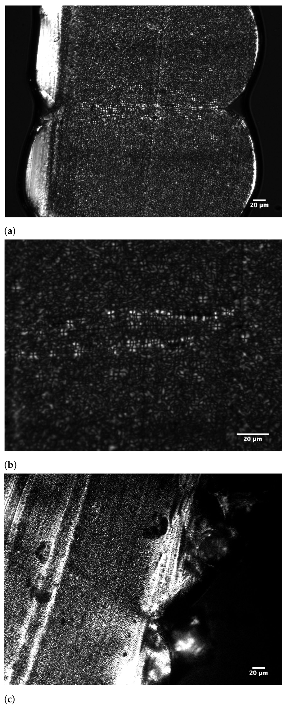 Polymers 13 02677 g011a
