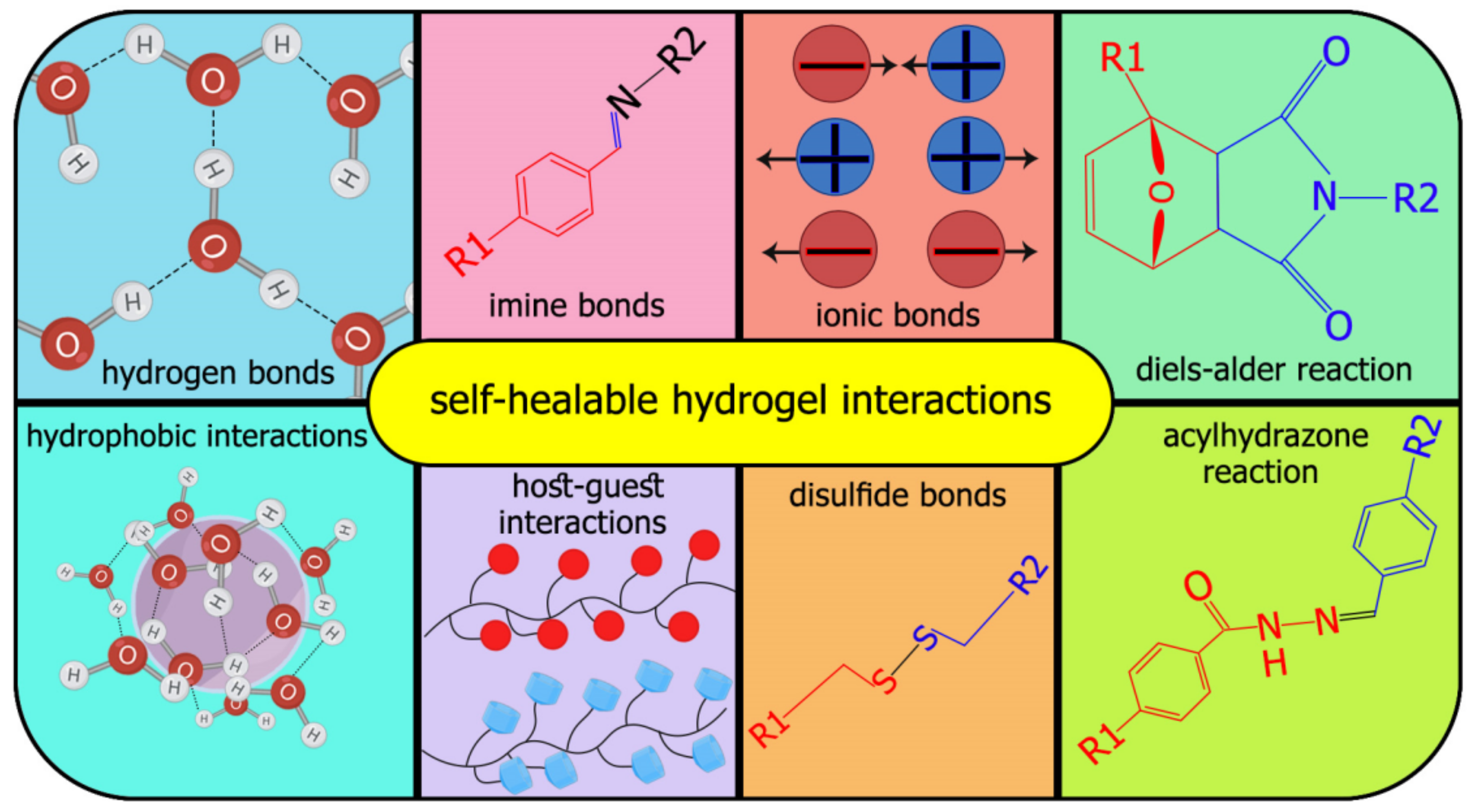 Polymers 13 02680 g001