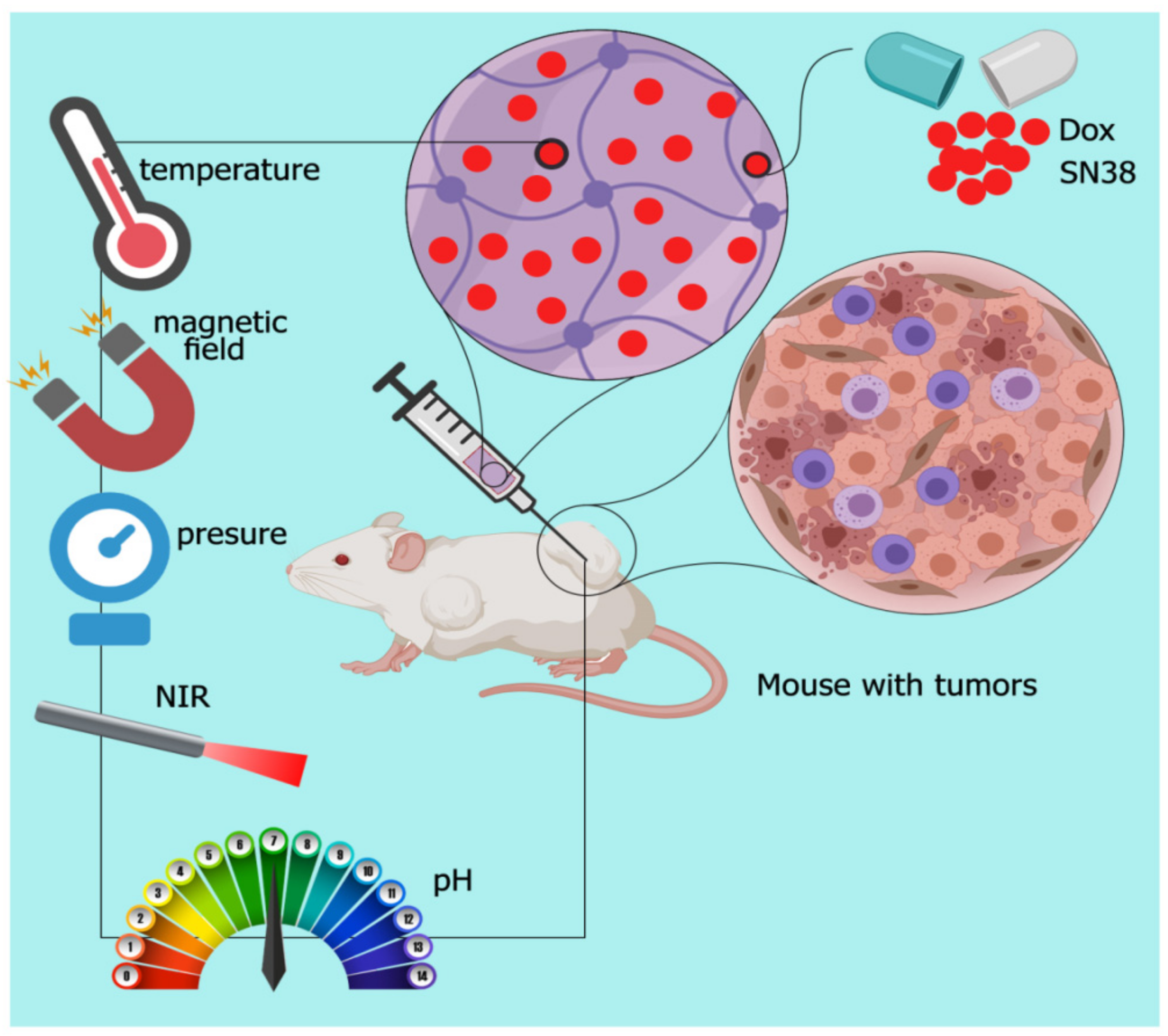 Polymers 13 02680 g003