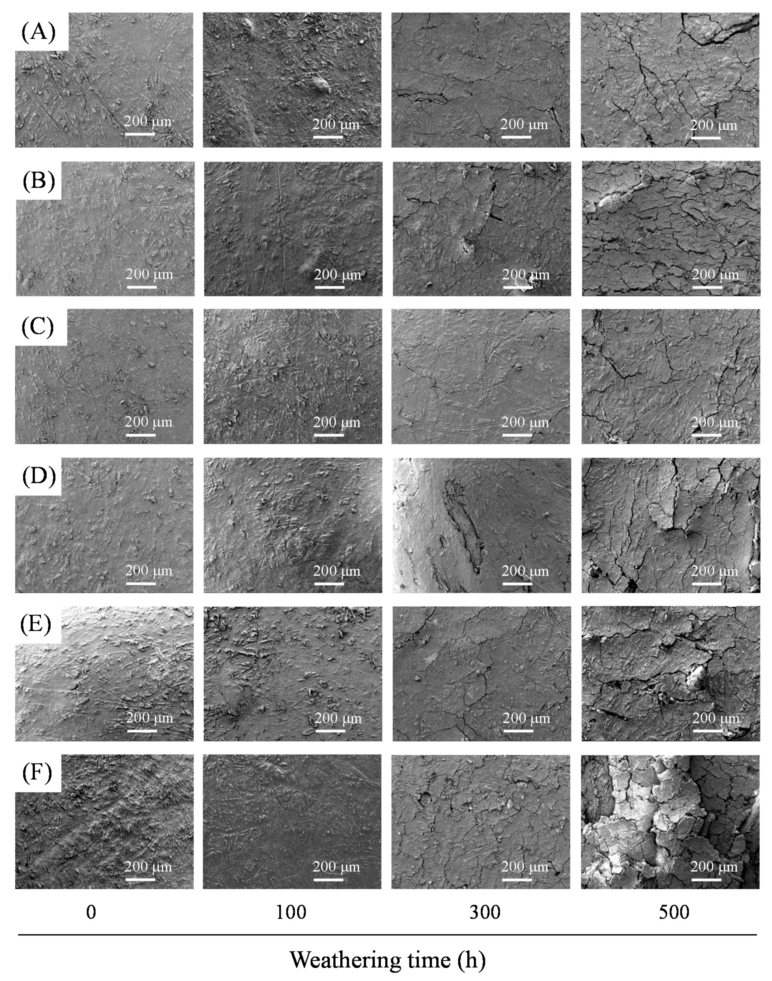 Polymers 13 02681 g003 Polymers 13 02681 g003