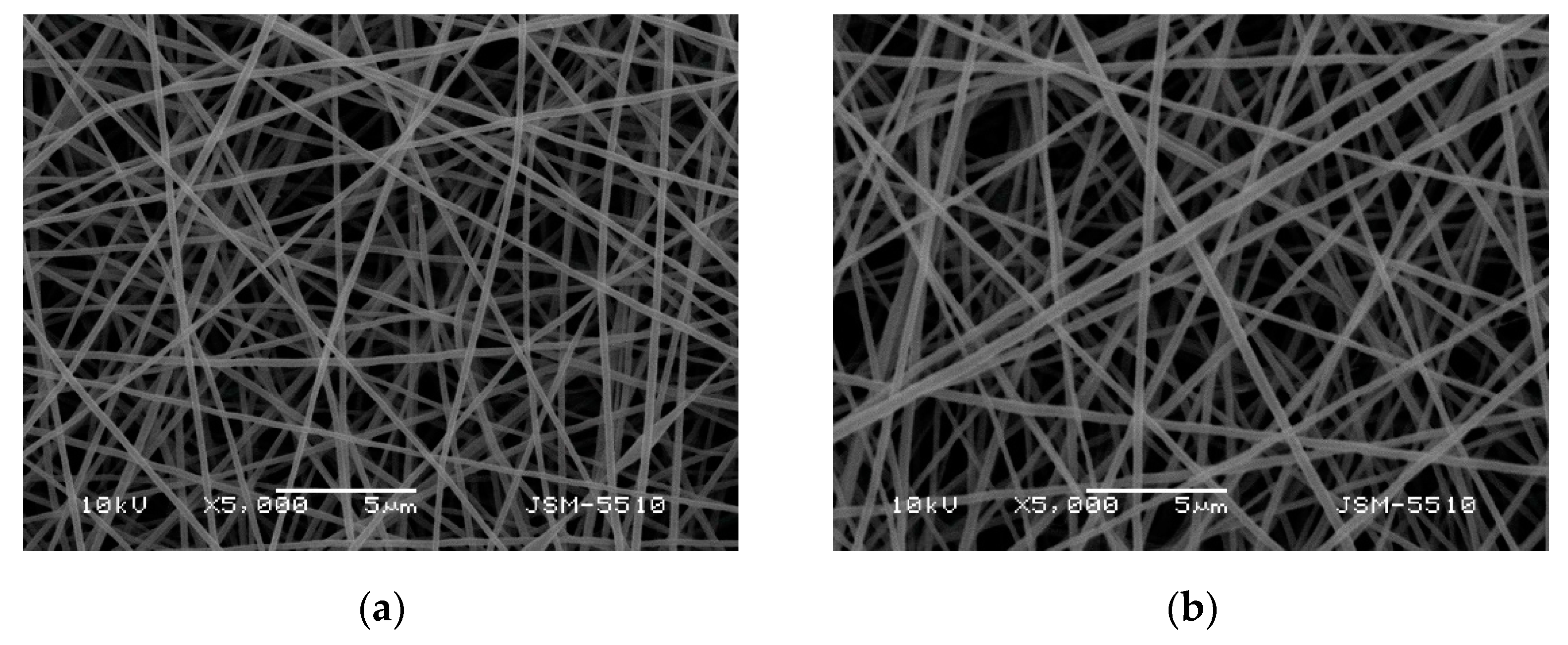 Polymers 13 02690 g001
