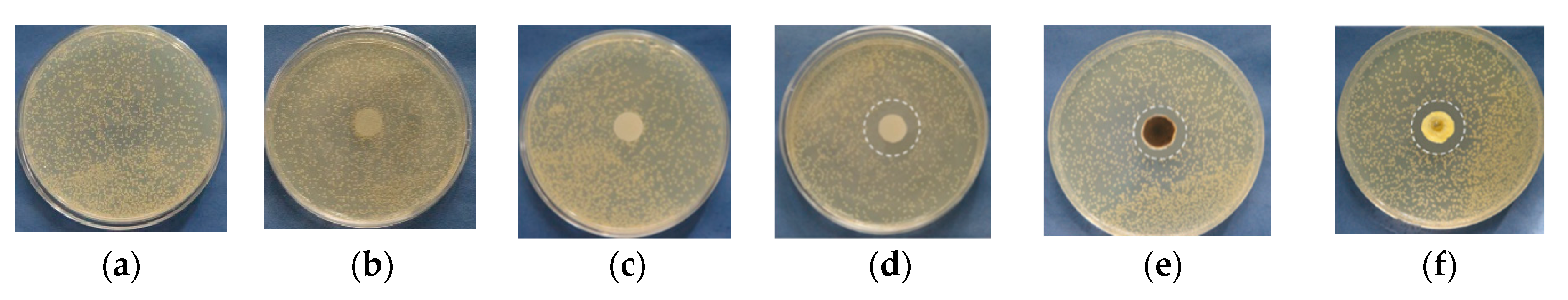 Polymers 13 02690 g008a
