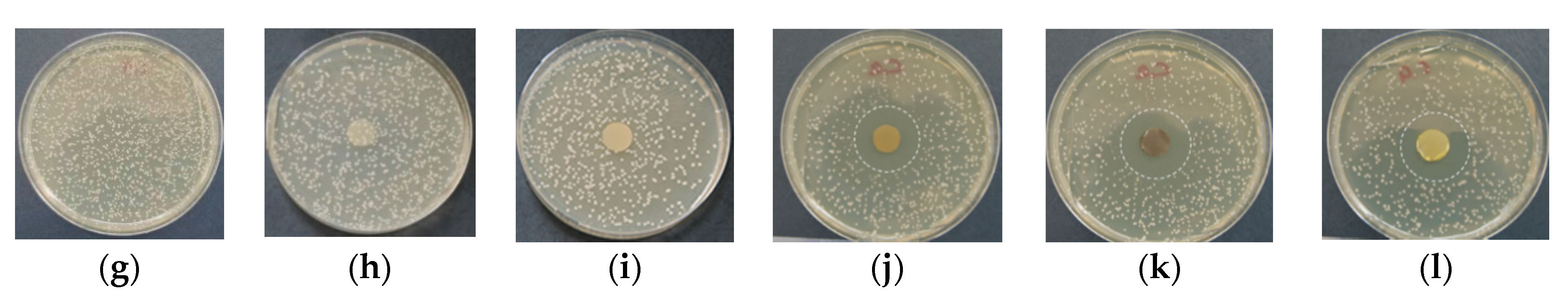 Polymers 13 02690 g008b