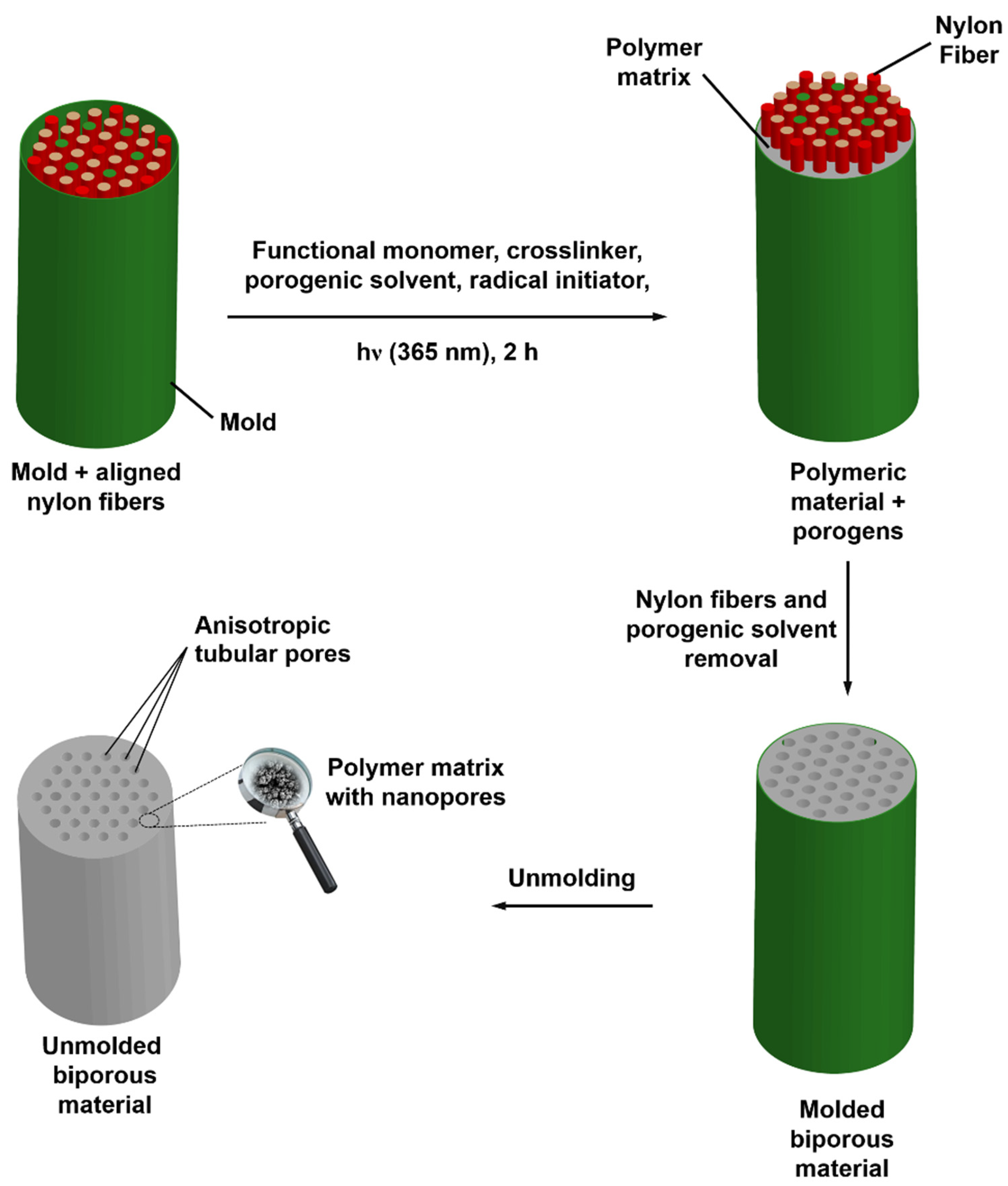 Polymers 13 02692 g001