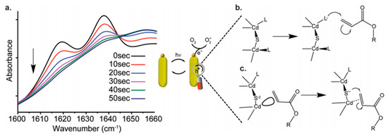 Polymers 13 02694 g001 550