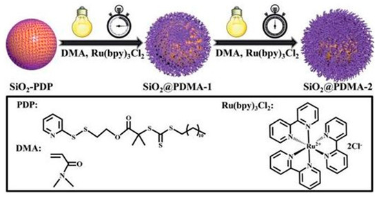 Polymers 13 02694 g008 550