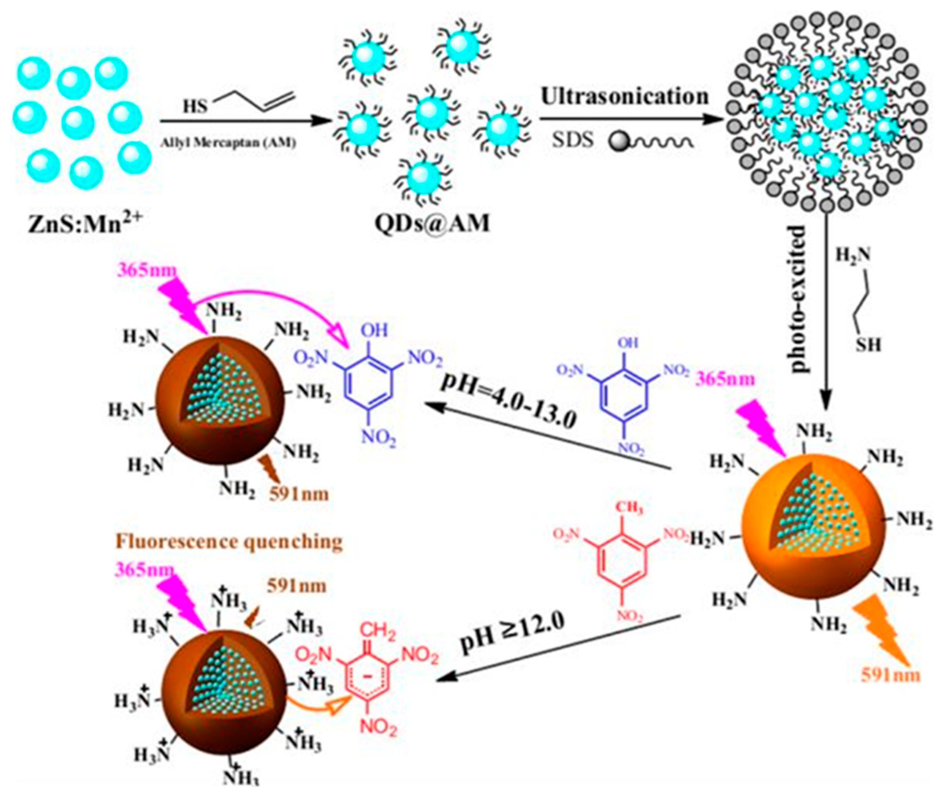 Polymers 13 02694 g009