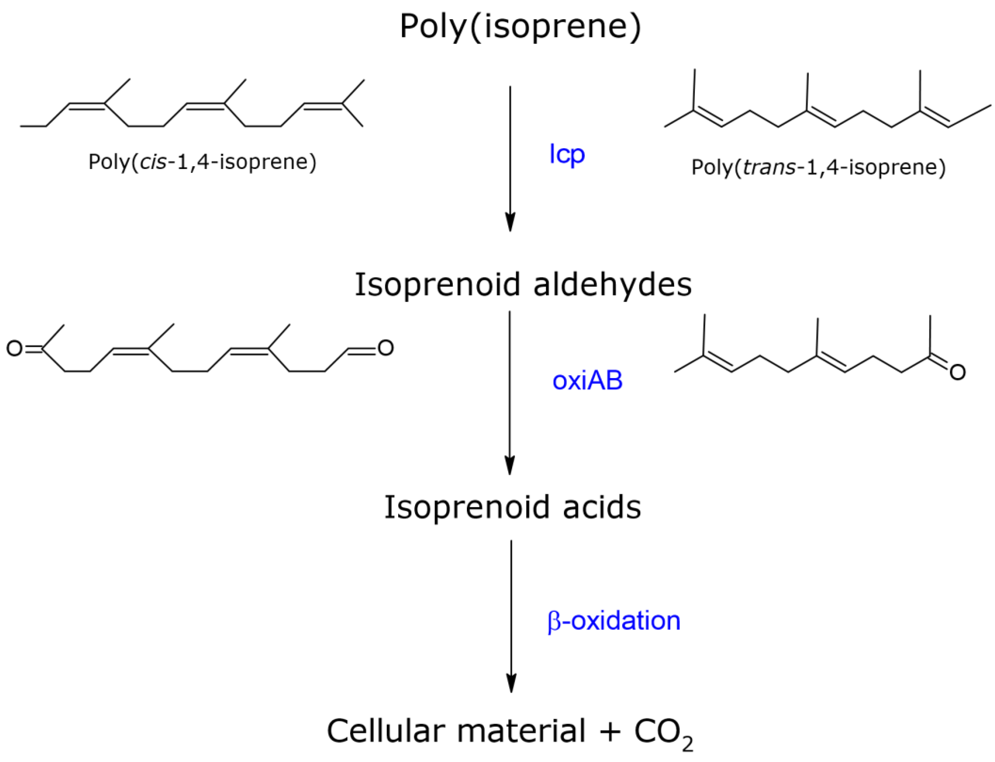 Polymers 13 02700 g001 550