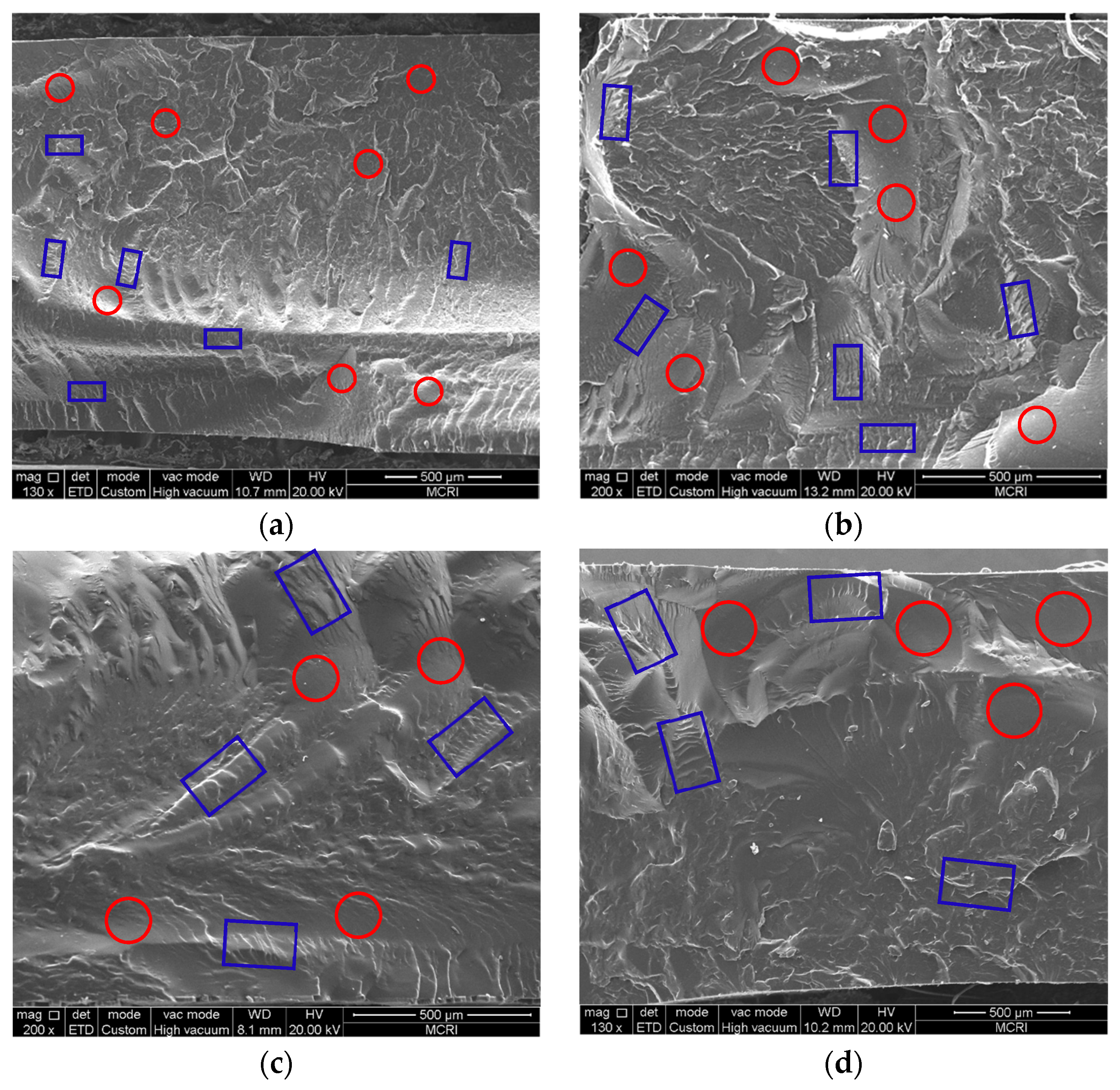 Polymers 13 02706 g007