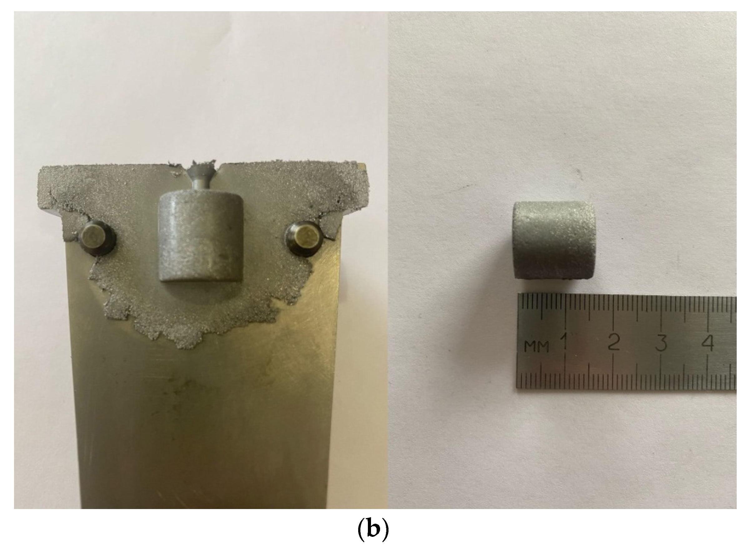 Polymers 13 02709 g016b 550