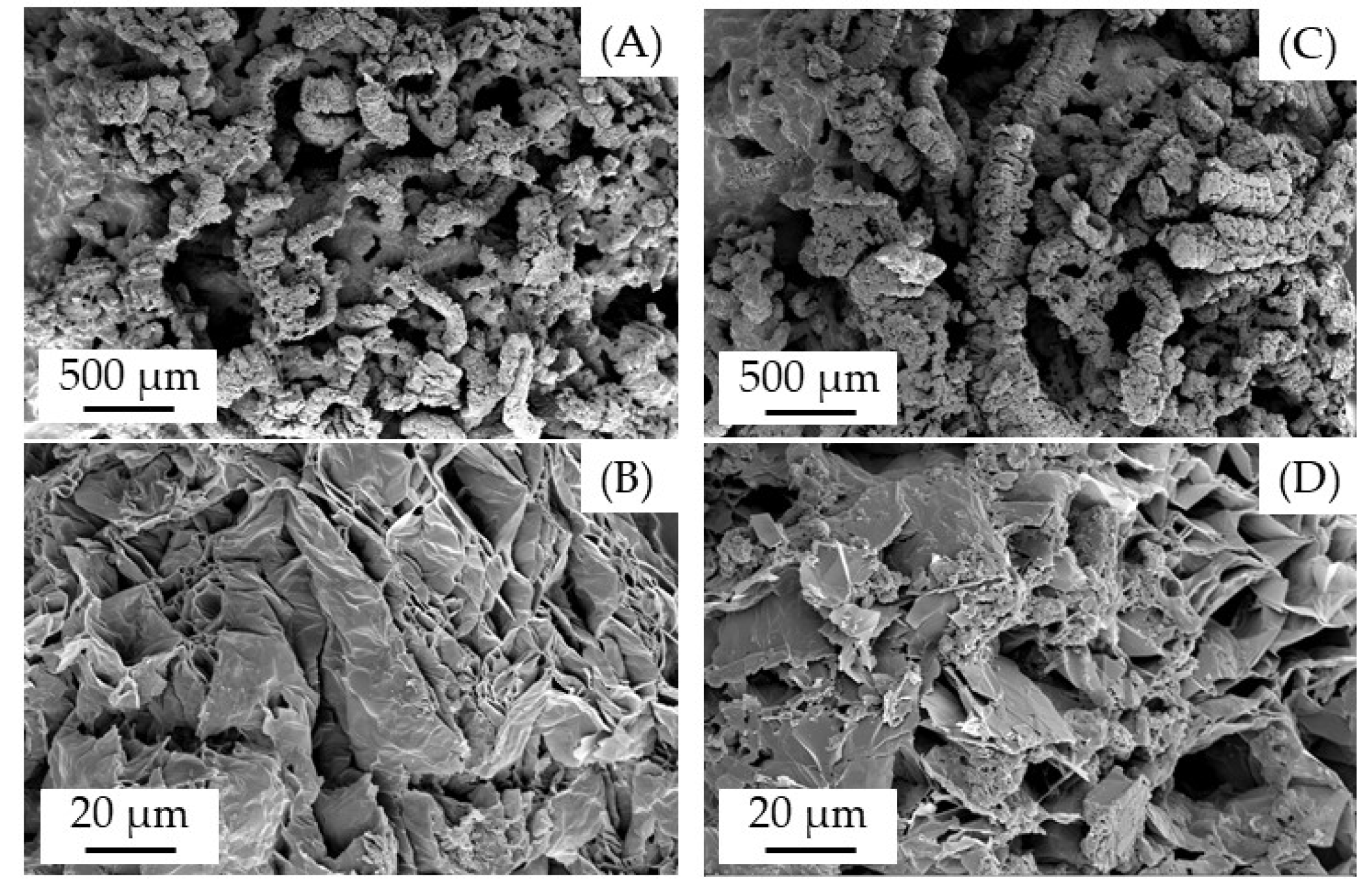 Polymers 13 02712 g008