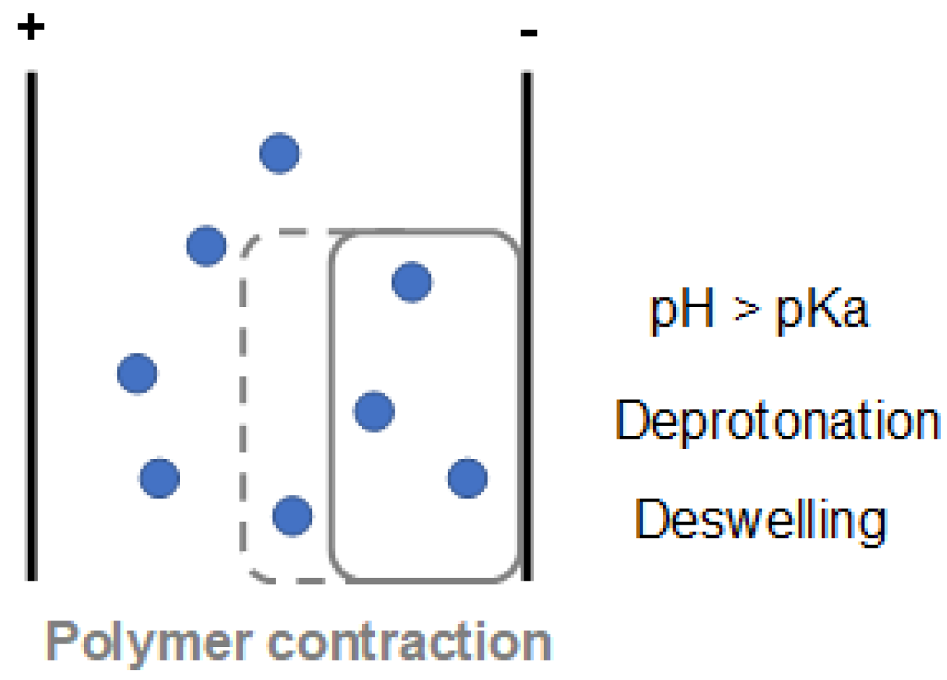 Polymers 13 02713 g008 550