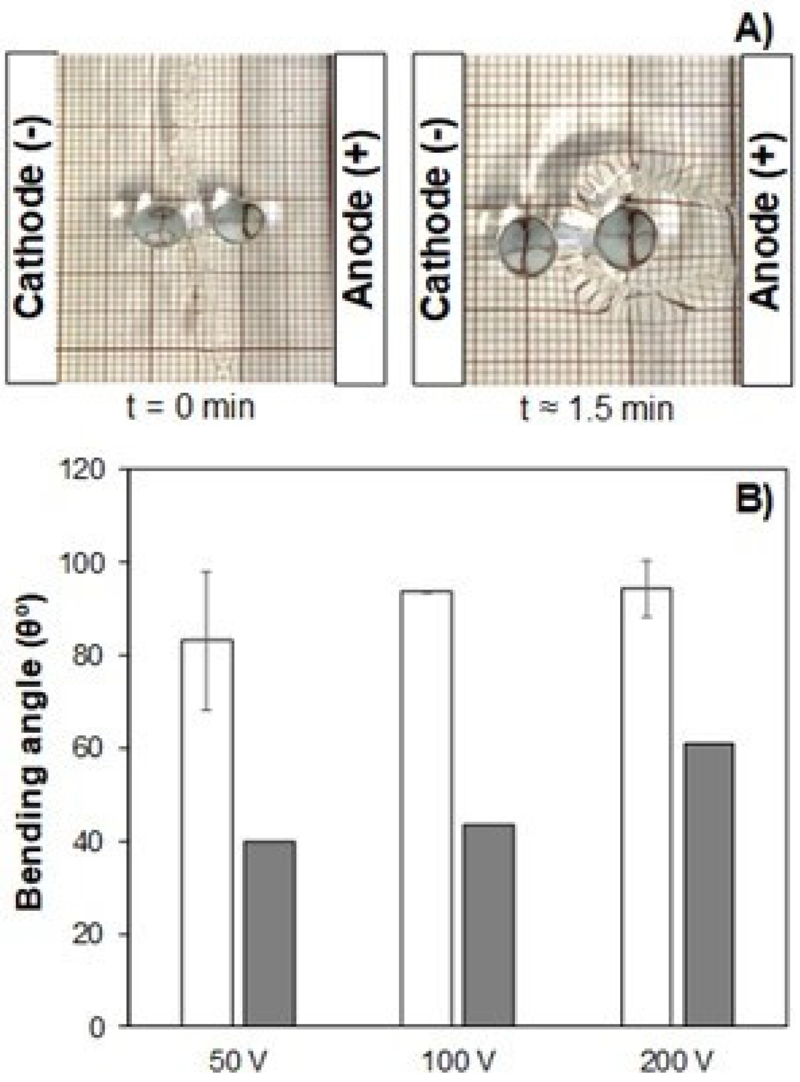 Polymers 13 02713 g014 550