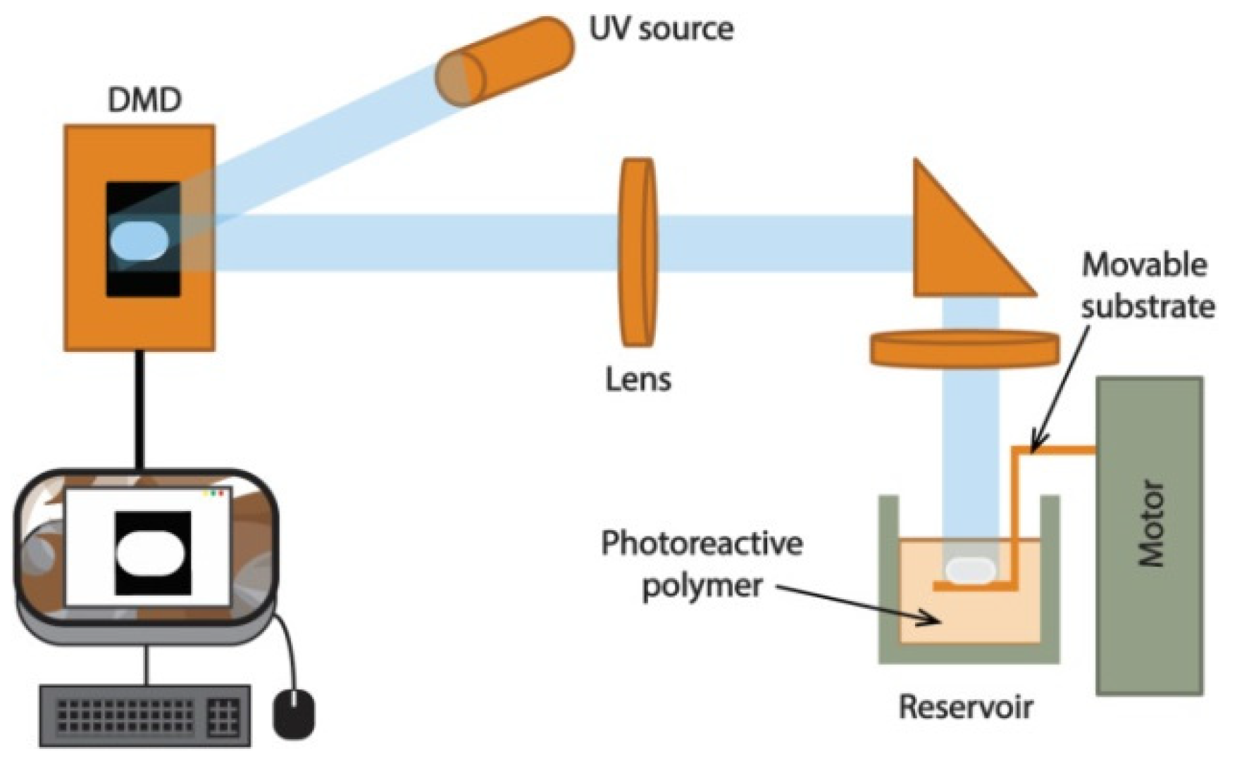 Polymers 13 02713 g017 550
